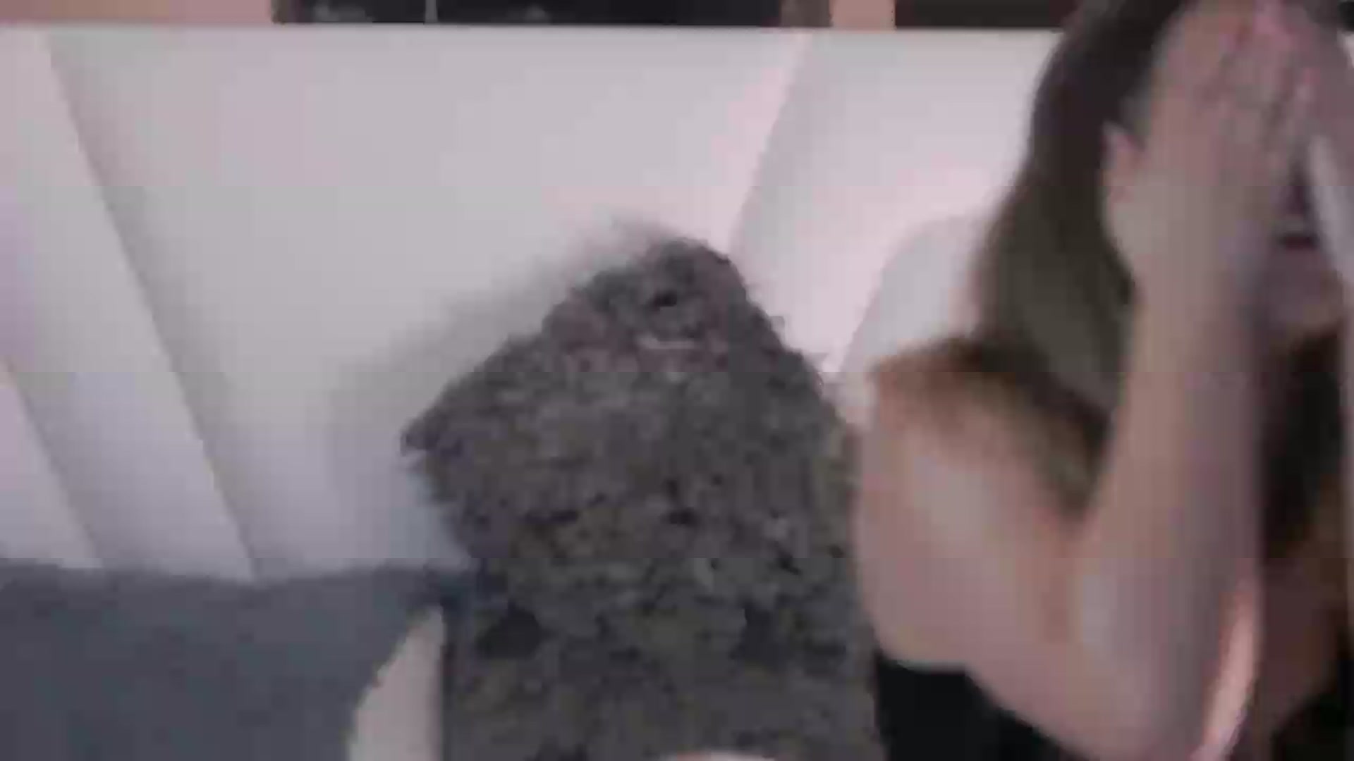 Gallery image thumbnail from Elizabet's myfreecams stream on, 07/02/2026, 14:53 image 1 of 20