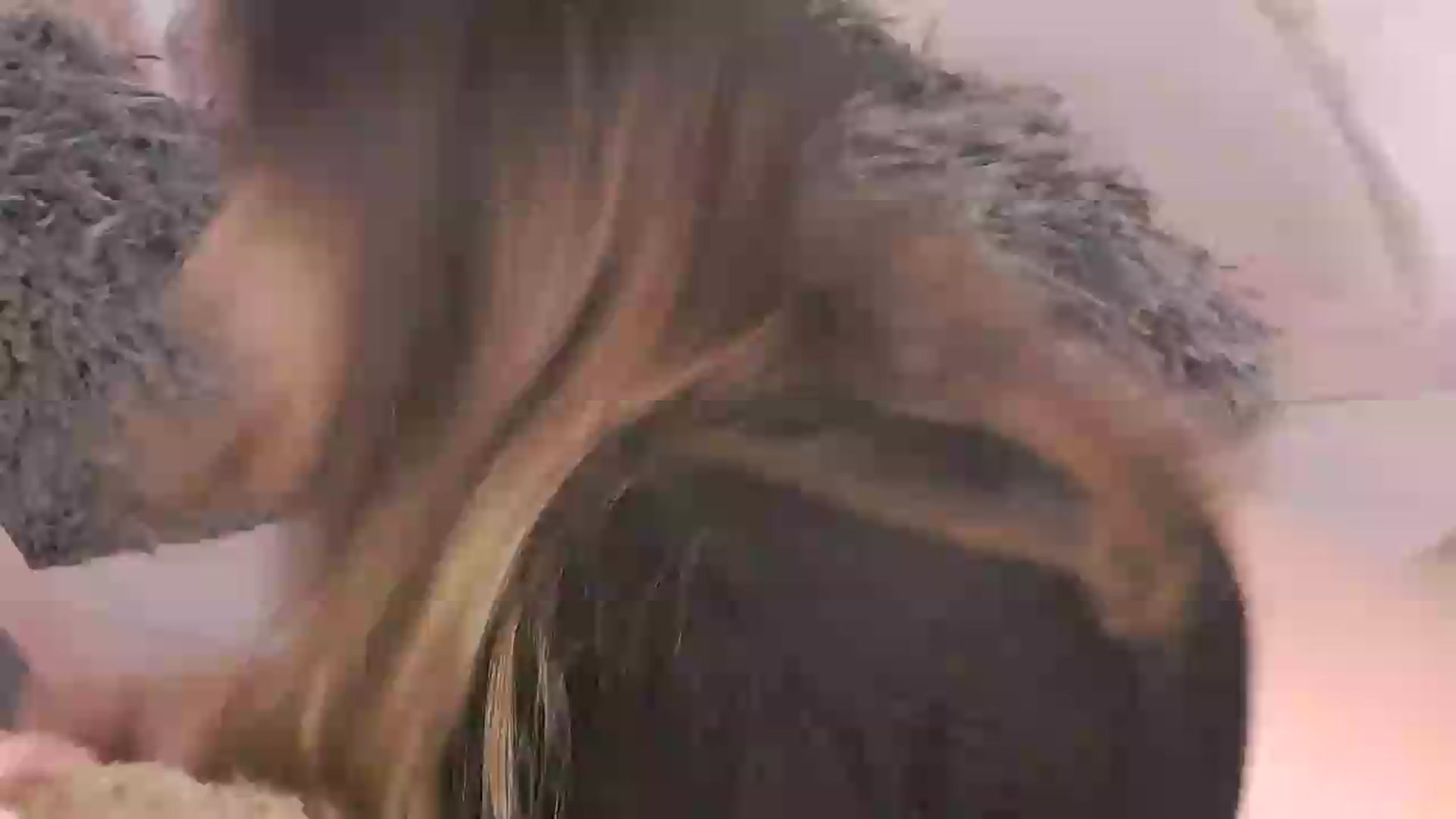 Gallery image thumbnail from Elizabet's myfreecams stream on, 07/21/2026, 20:43 image 5 of 20