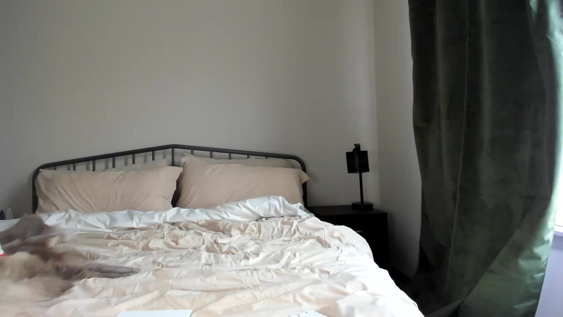 Gallery image thumbnail from EllaCakes's myfreecams stream on, 06/27/2023, 21:25 image 15 of 20
