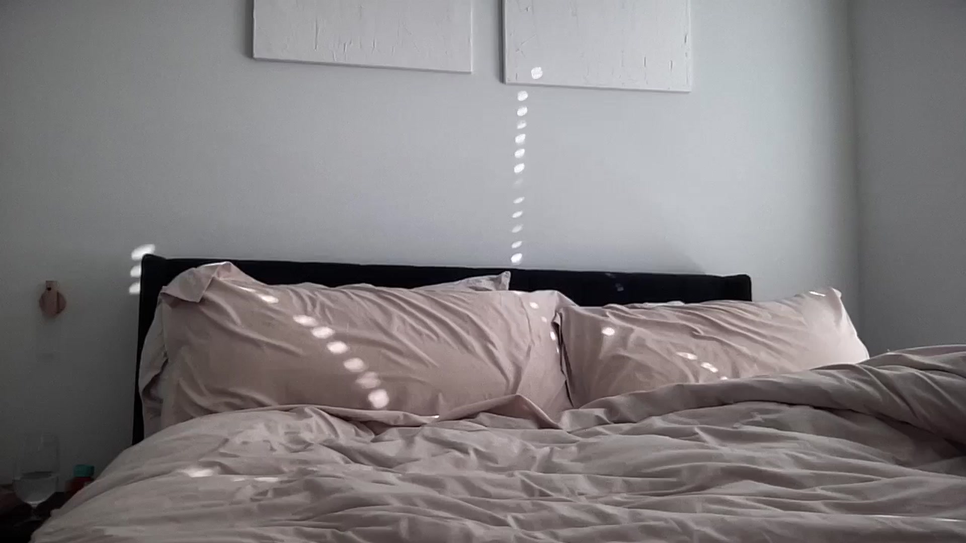 Gallery image thumbnail from EllaCakes's myfreecams stream on, 08/20/2024, 22:37 image 5 of 20