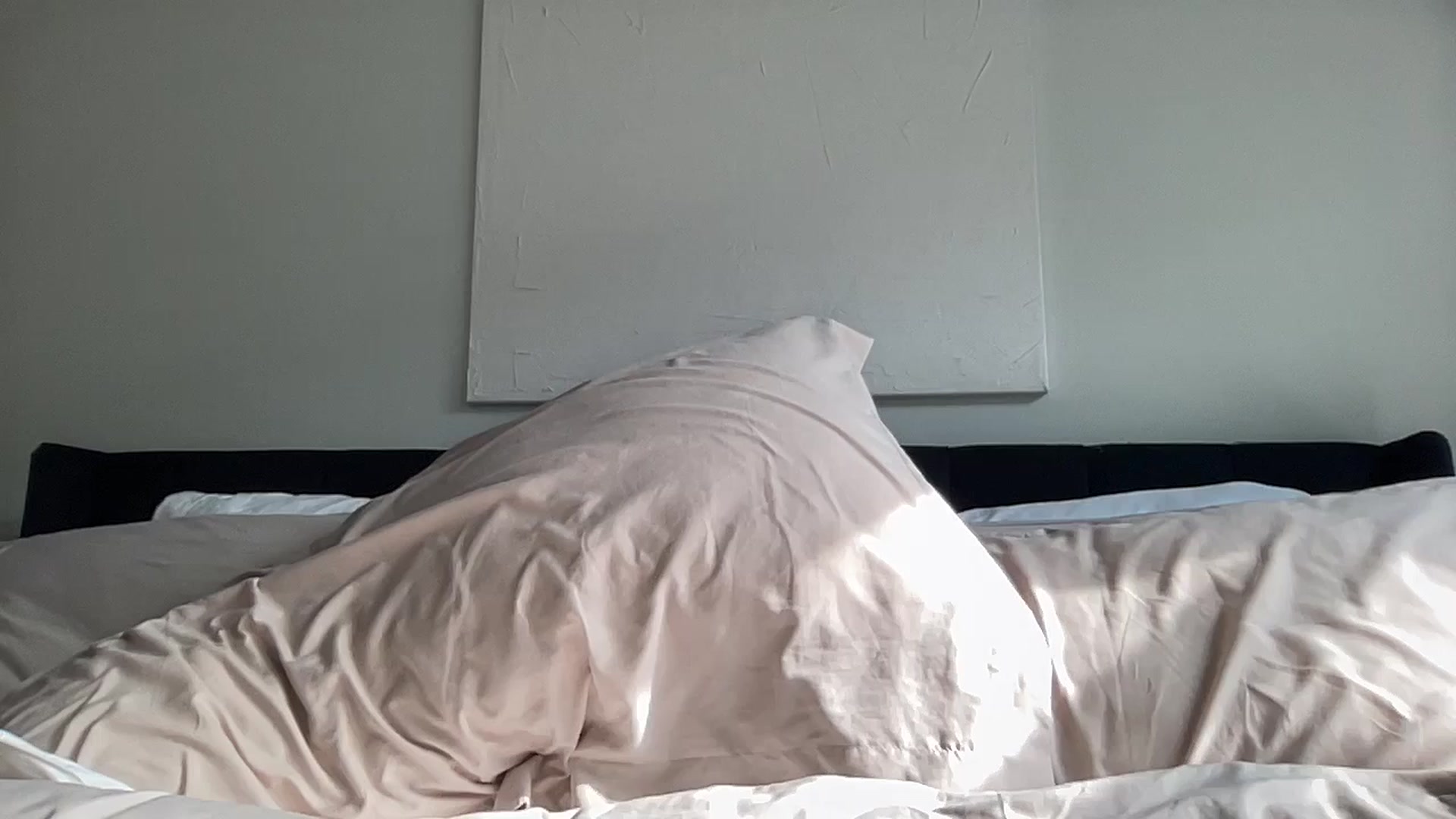 Gallery image thumbnail from EllaCakes's myfreecams stream on, 09/11/2024, 21:09 image 5 of 20