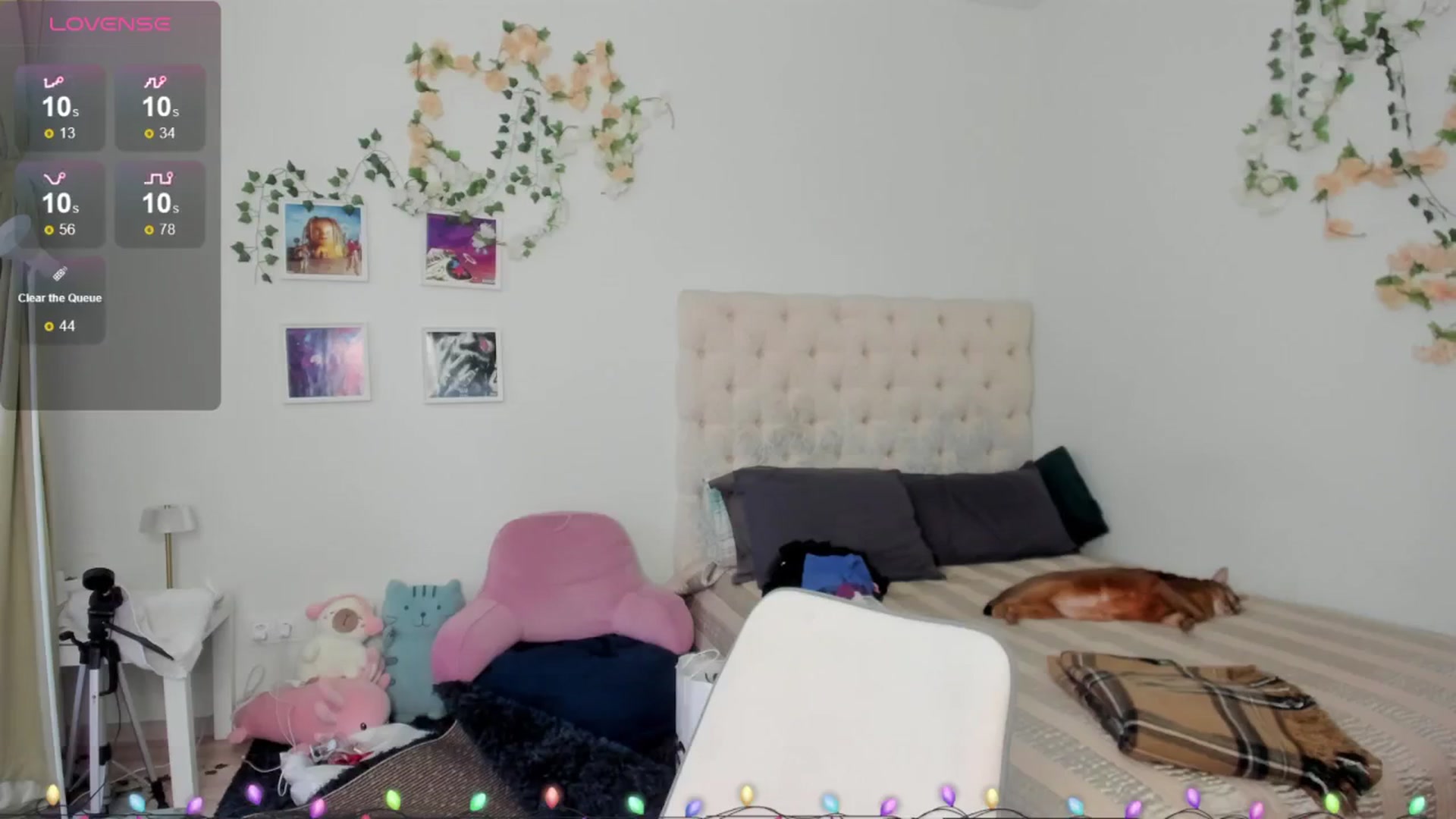 Gallery image thumbnail from Ellaaaa's myfreecams stream on, 12/05/2025, 10:36 image 12 of 20