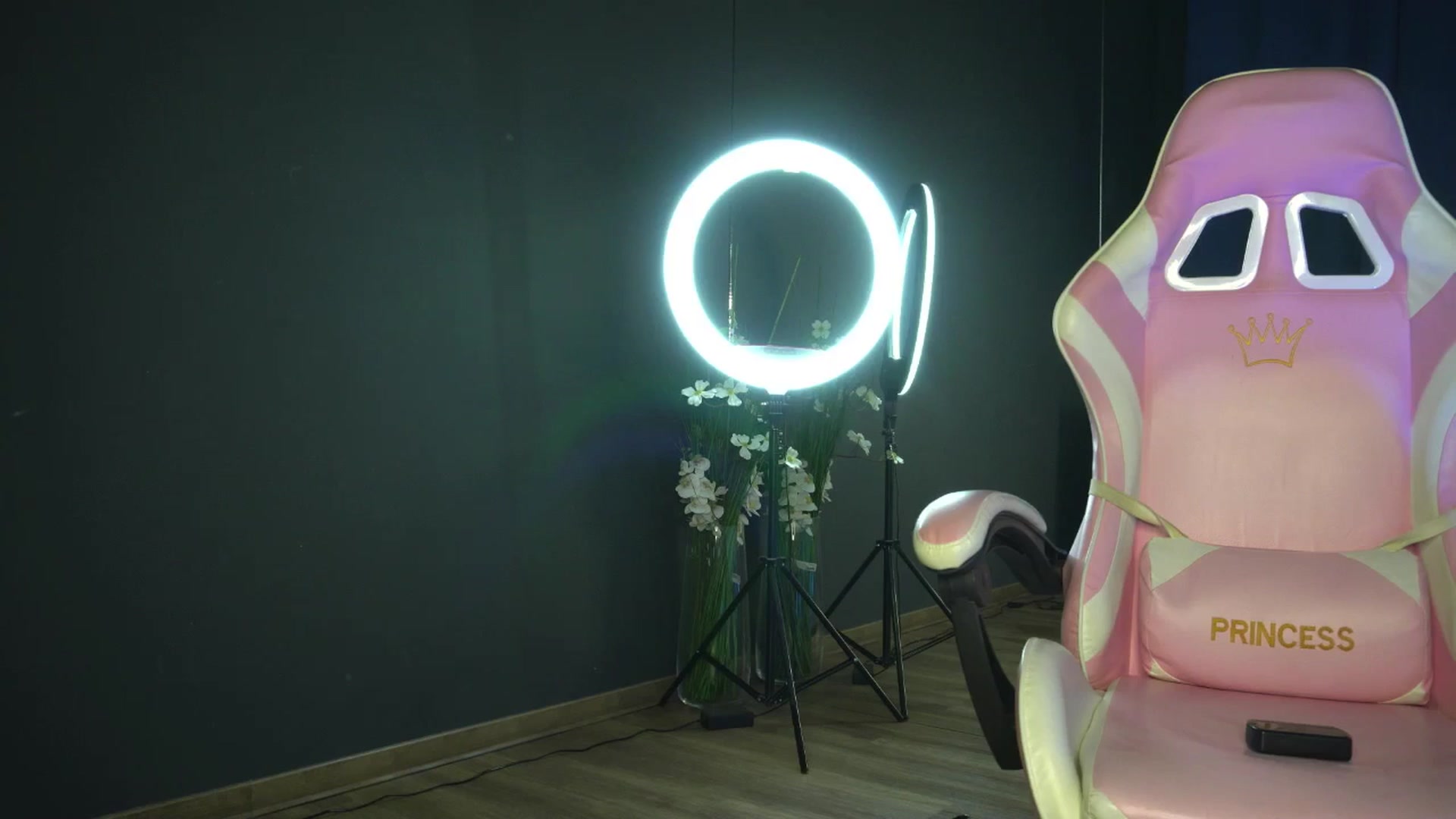 Gallery image thumbnail from Ellaacandy's myfreecams stream on, 04/03/2025, 13:48 image 10 of 20