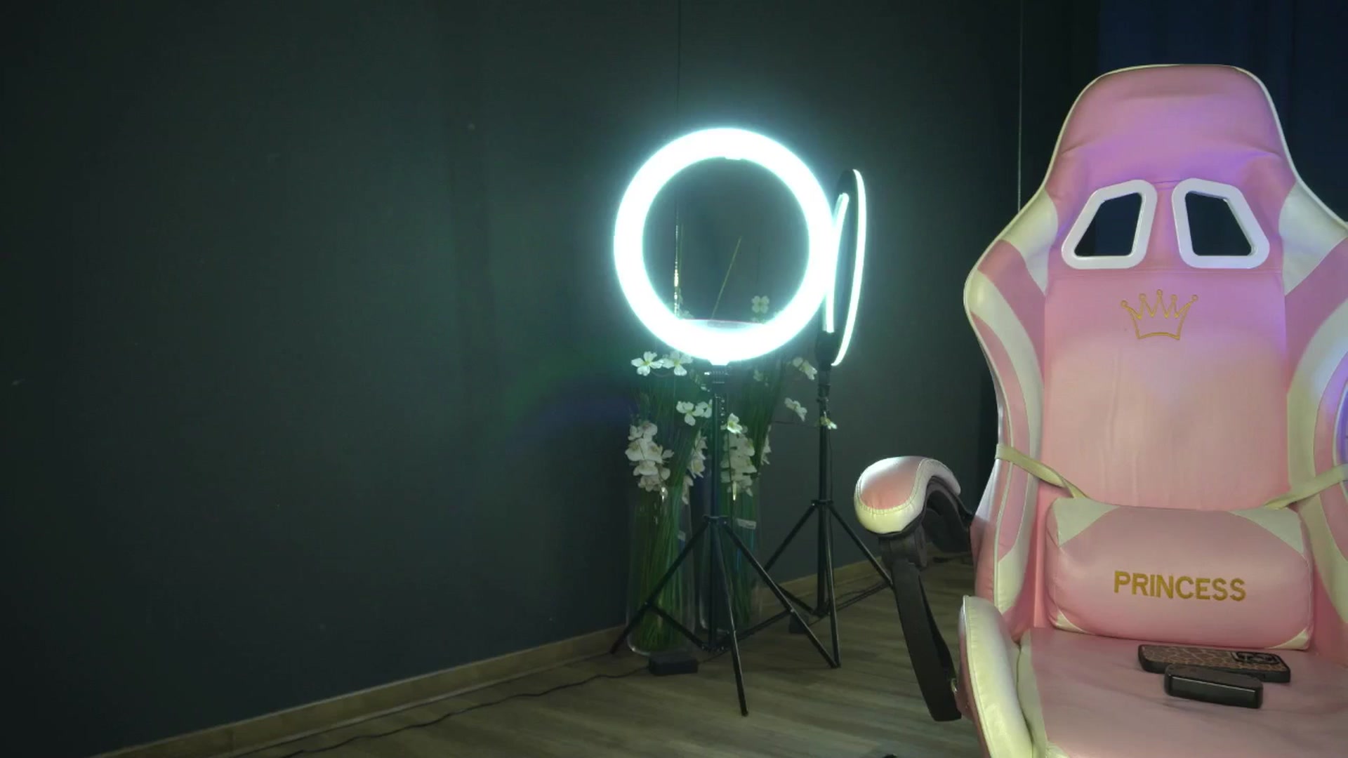 Gallery image thumbnail from Ellaacandy's myfreecams stream on, 04/03/2025, 13:48 image 9 of 20
