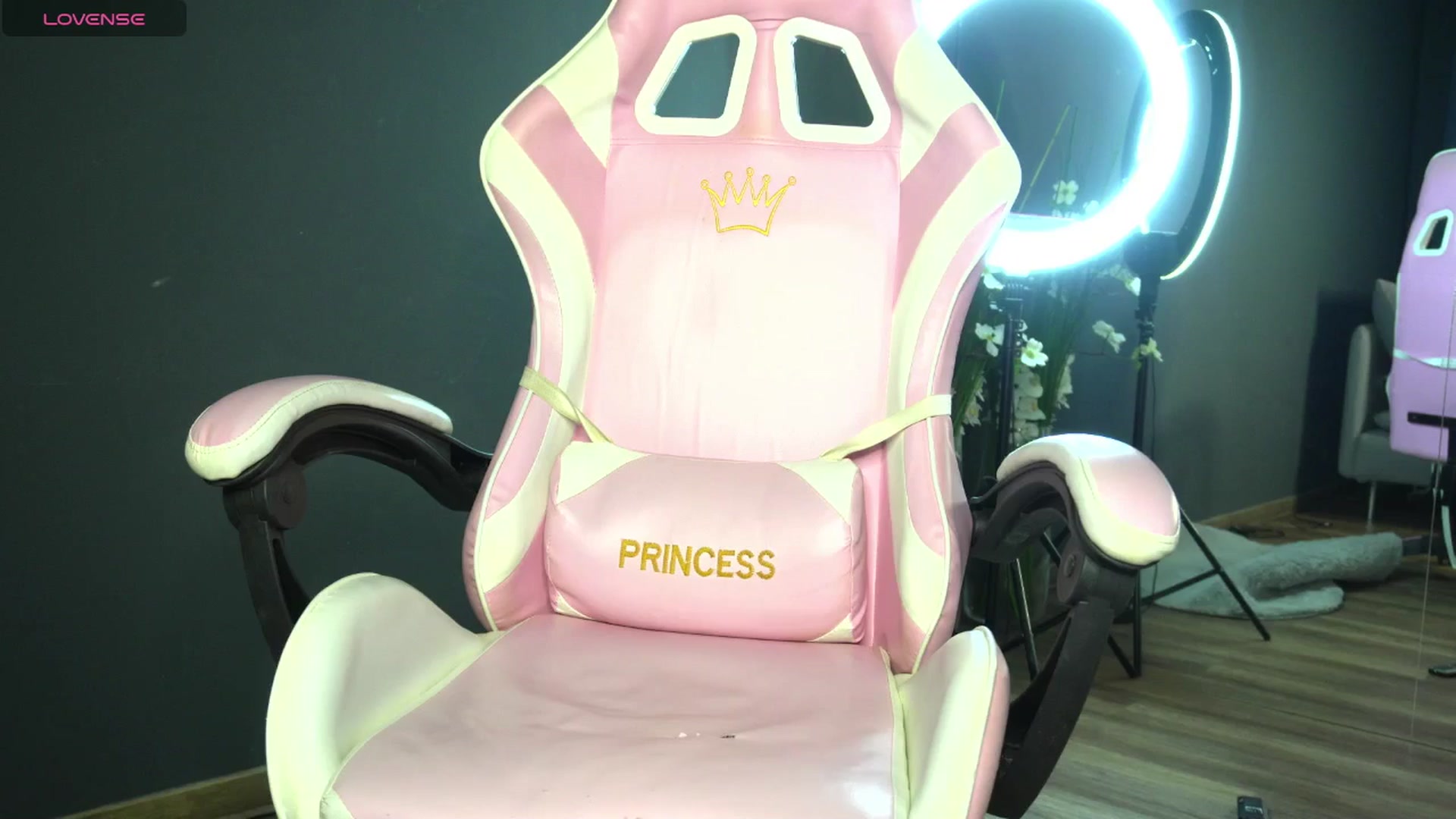 Gallery image thumbnail from Ellaacandy's myfreecams stream on, 04/15/2025, 12:00 image 14 of 20