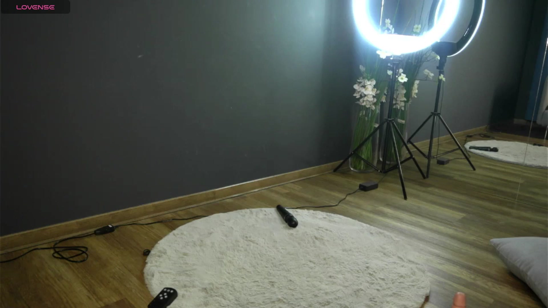 Gallery image thumbnail from Ellaacandy's myfreecams stream on, 04/21/2025, 07:56 image 9 of 20