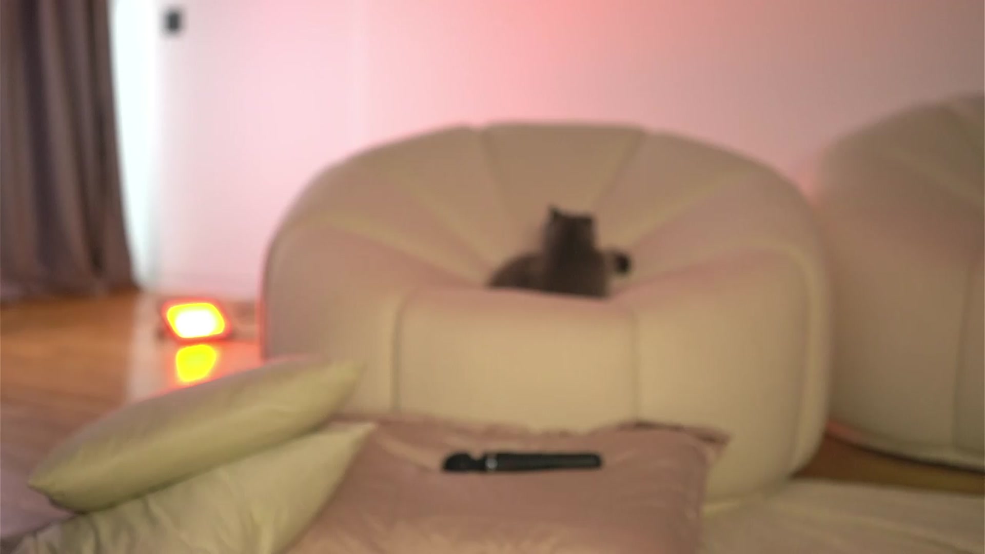 Gallery image thumbnail from Ellaacandy's myfreecams stream on, 06/20/2026, 13:46 image 11 of 20