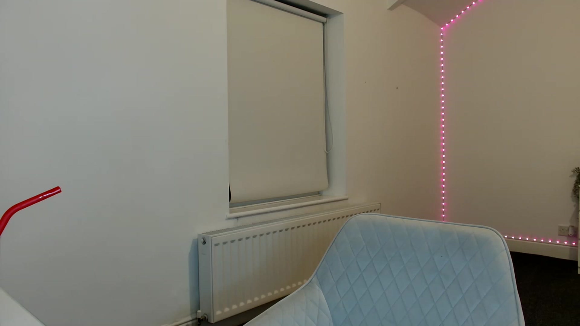 Gallery image thumbnail from ElleBloom's myfreecams stream on, 07/10/2023, 22:56 image 12 of 20