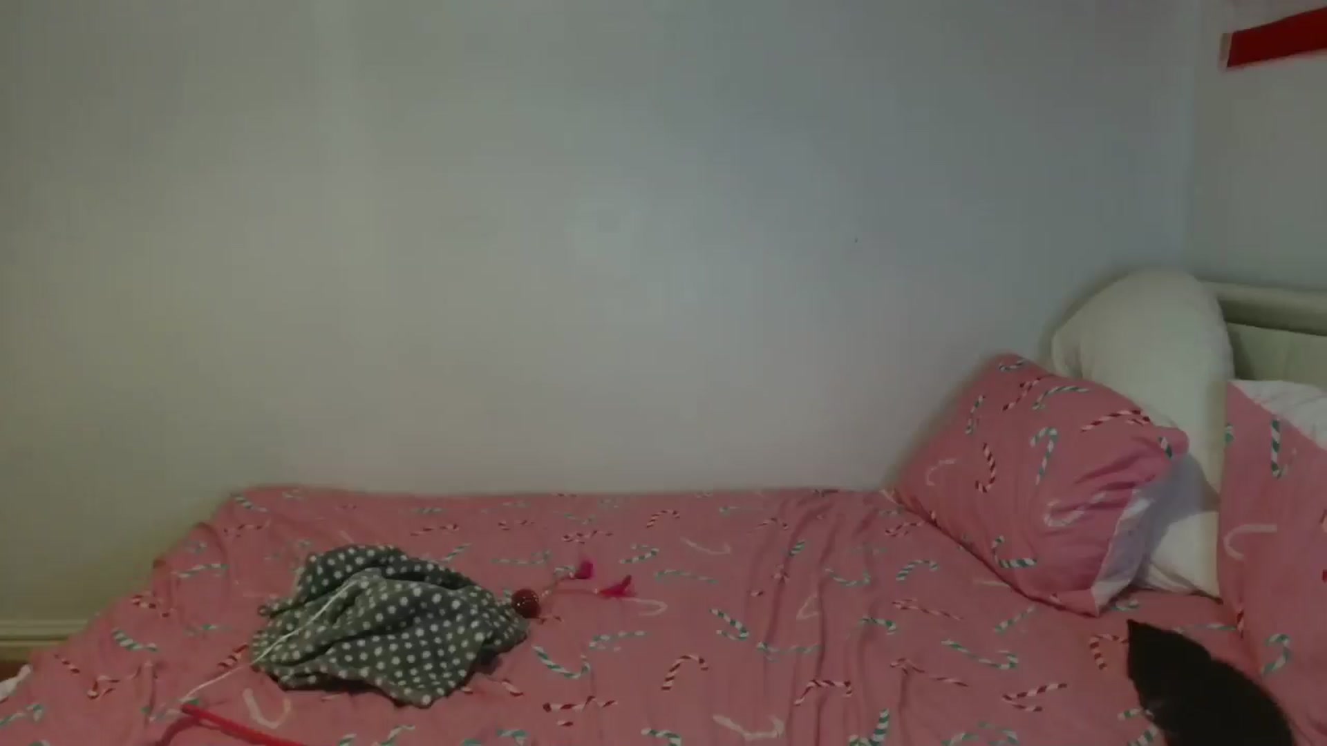 Gallery image thumbnail from ElleBloom's myfreecams stream on, 11/07/2024, 21:25 image 19 of 20