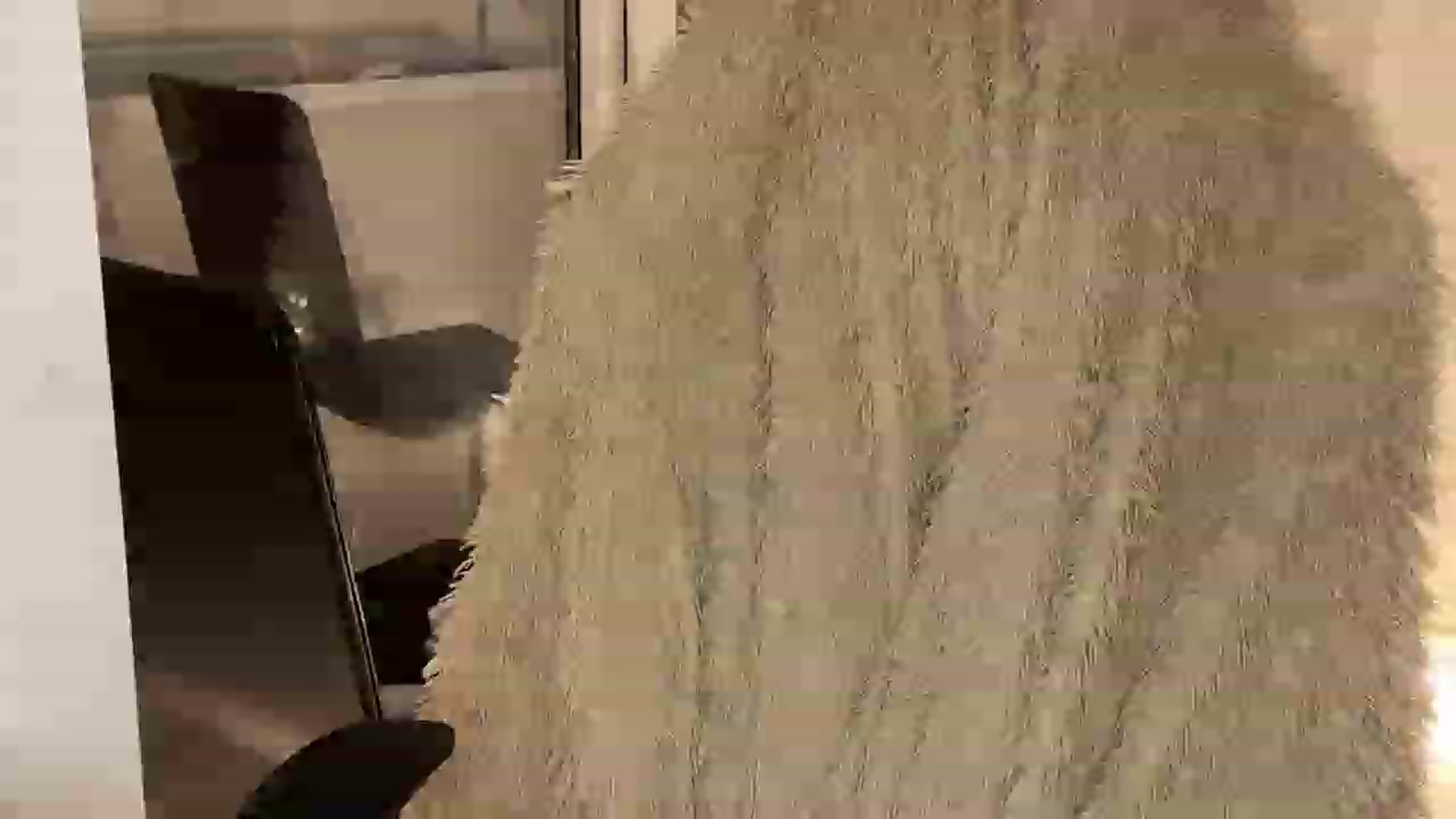 Gallery image thumbnail from ElliPoole's myfreecams stream on, 06/01/2023, 18:15 image 2 of 20