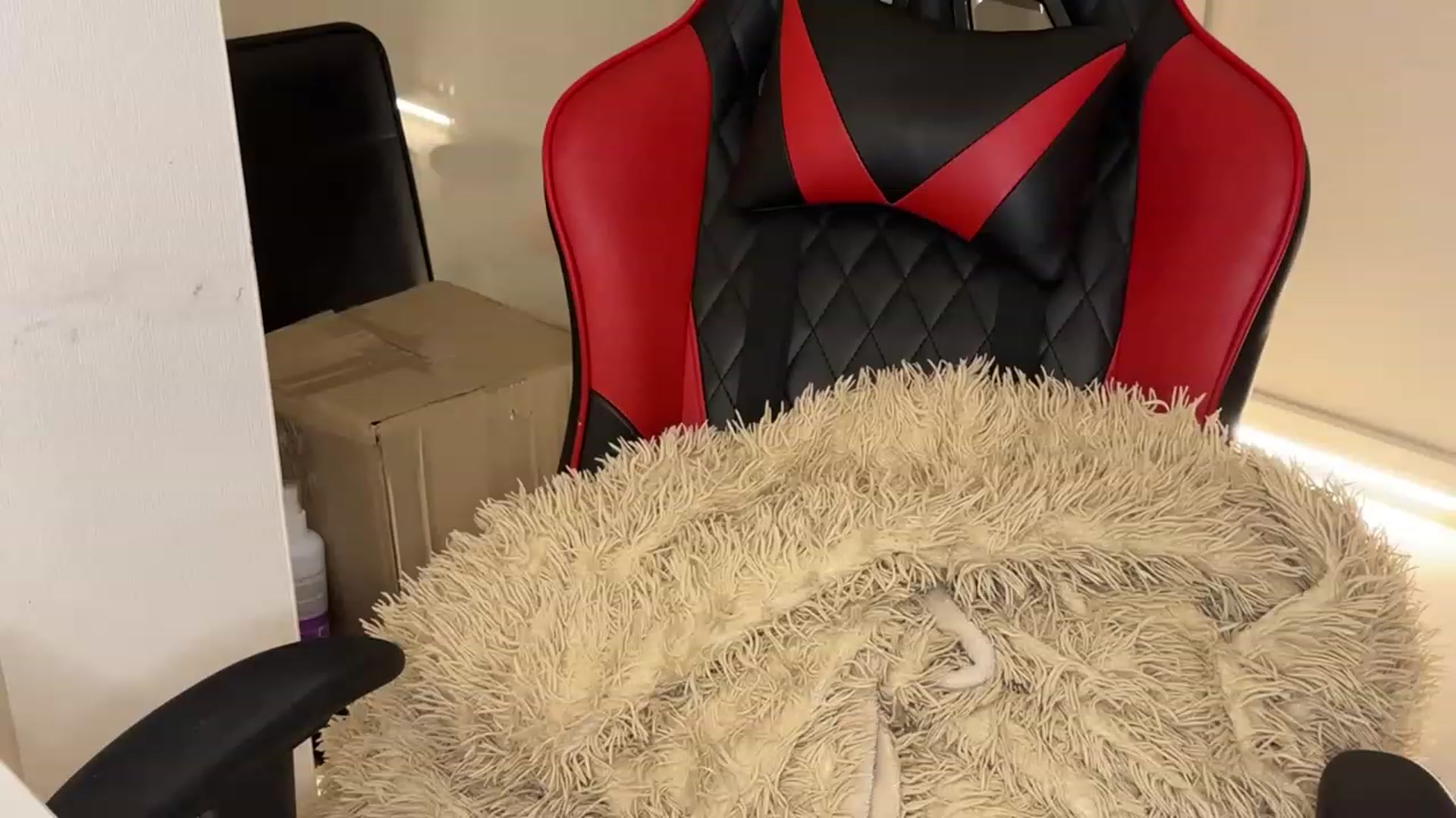 Gallery image thumbnail from ElliPoole's myfreecams stream on, 06/15/2023, 17:58 image 2 of 20