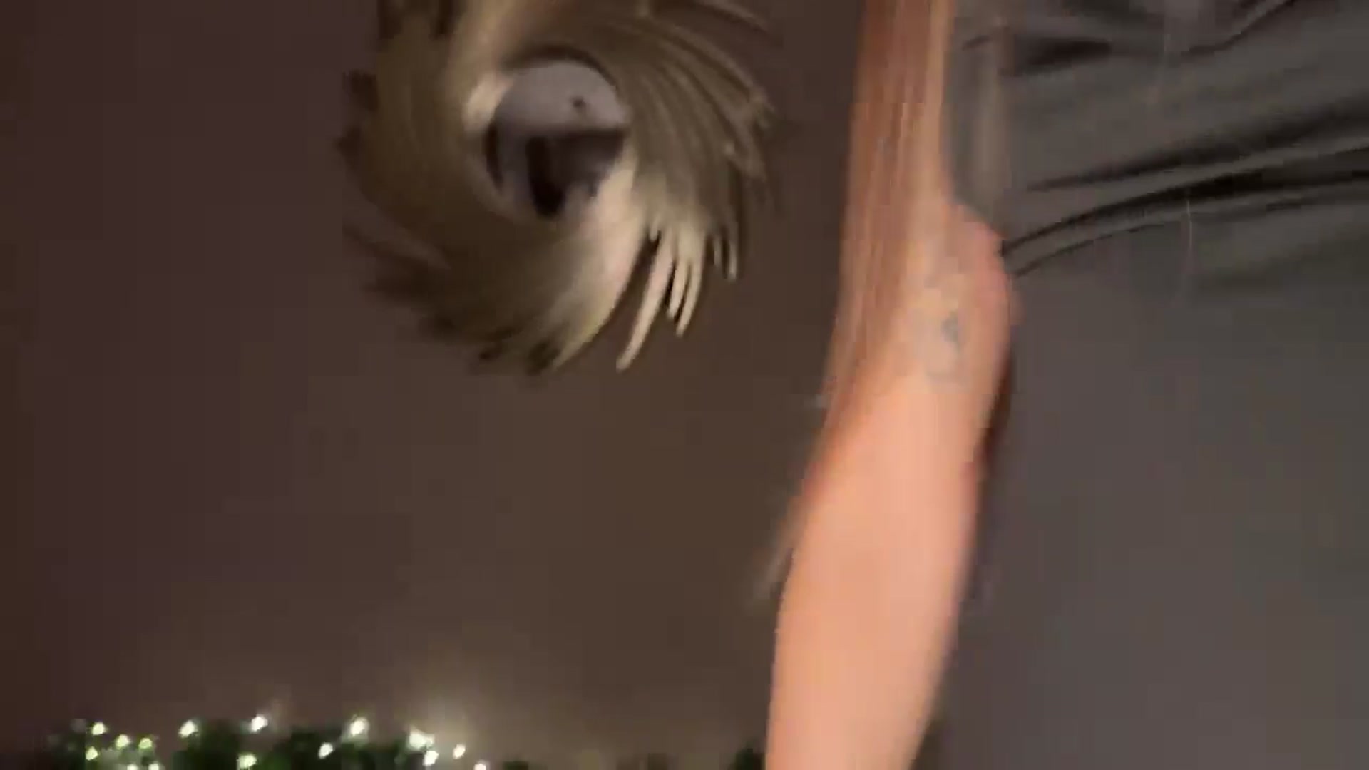 Gallery image thumbnail from ElliPoole's myfreecams stream on, 12/15/2024, 16:09 image 18 of 20