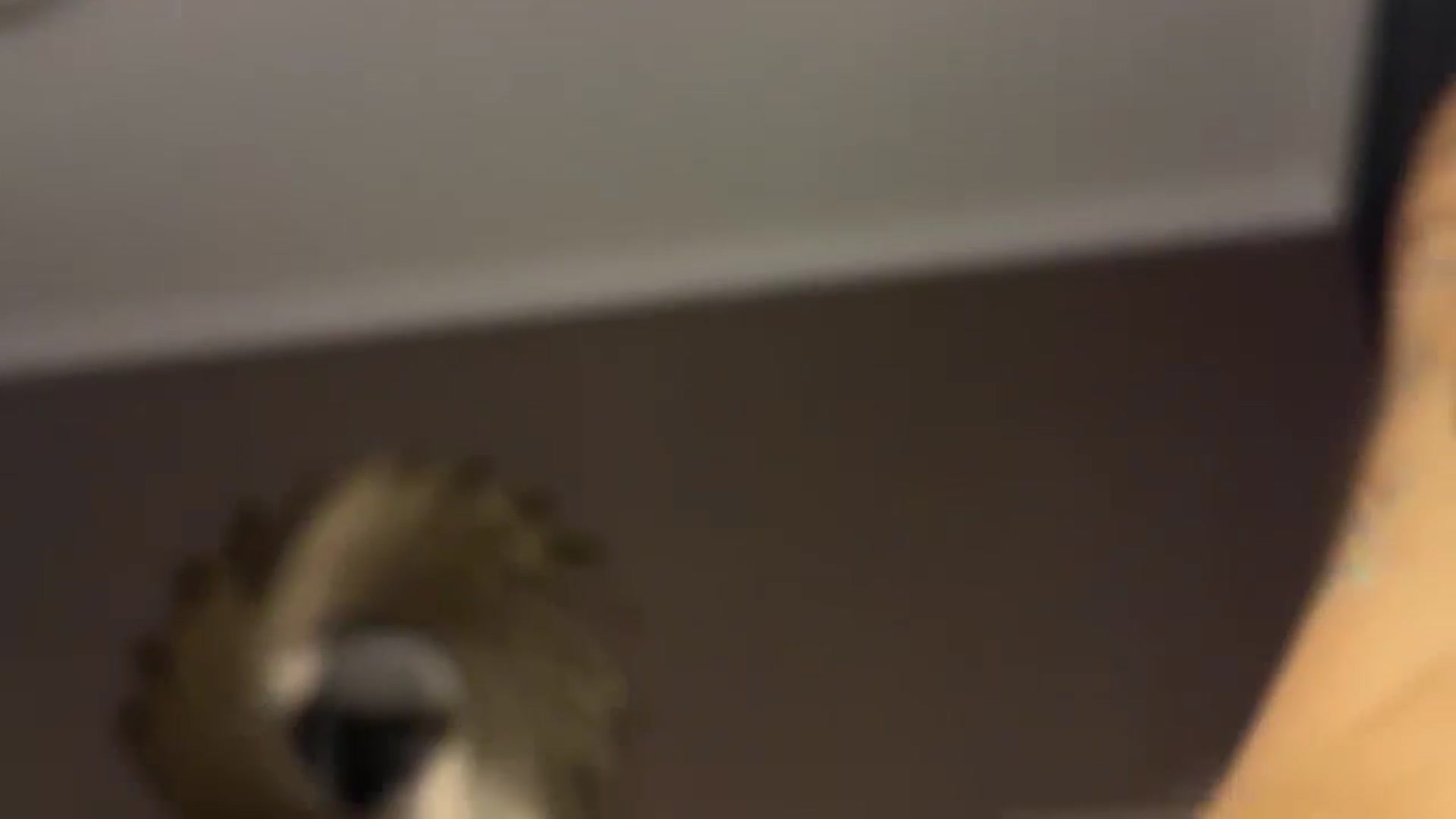 Gallery image thumbnail from ElliPoole's myfreecams stream on, 12/30/2024, 17:41 image 11 of 20