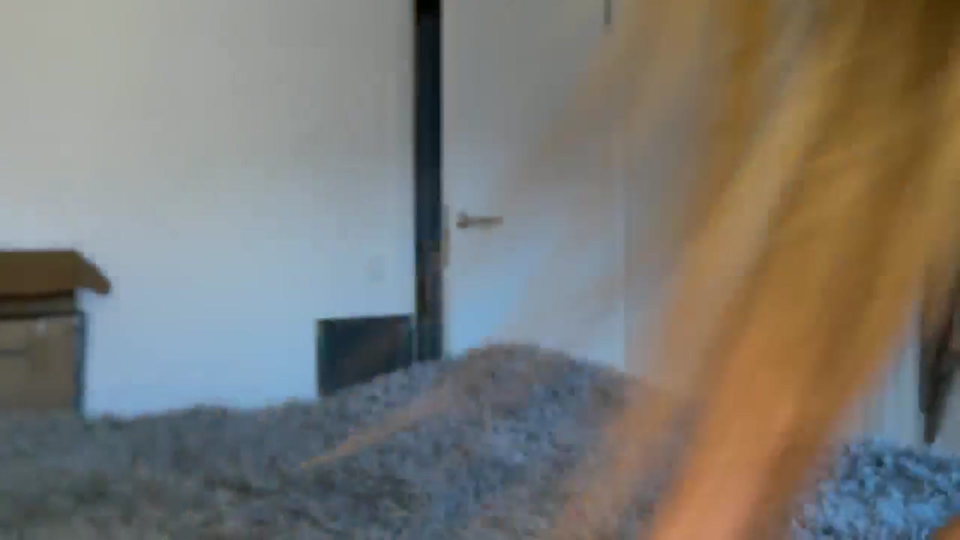 Gallery image thumbnail from ElliPoole's myfreecams stream on, 04/05/2025, 16:39 image 19 of 20