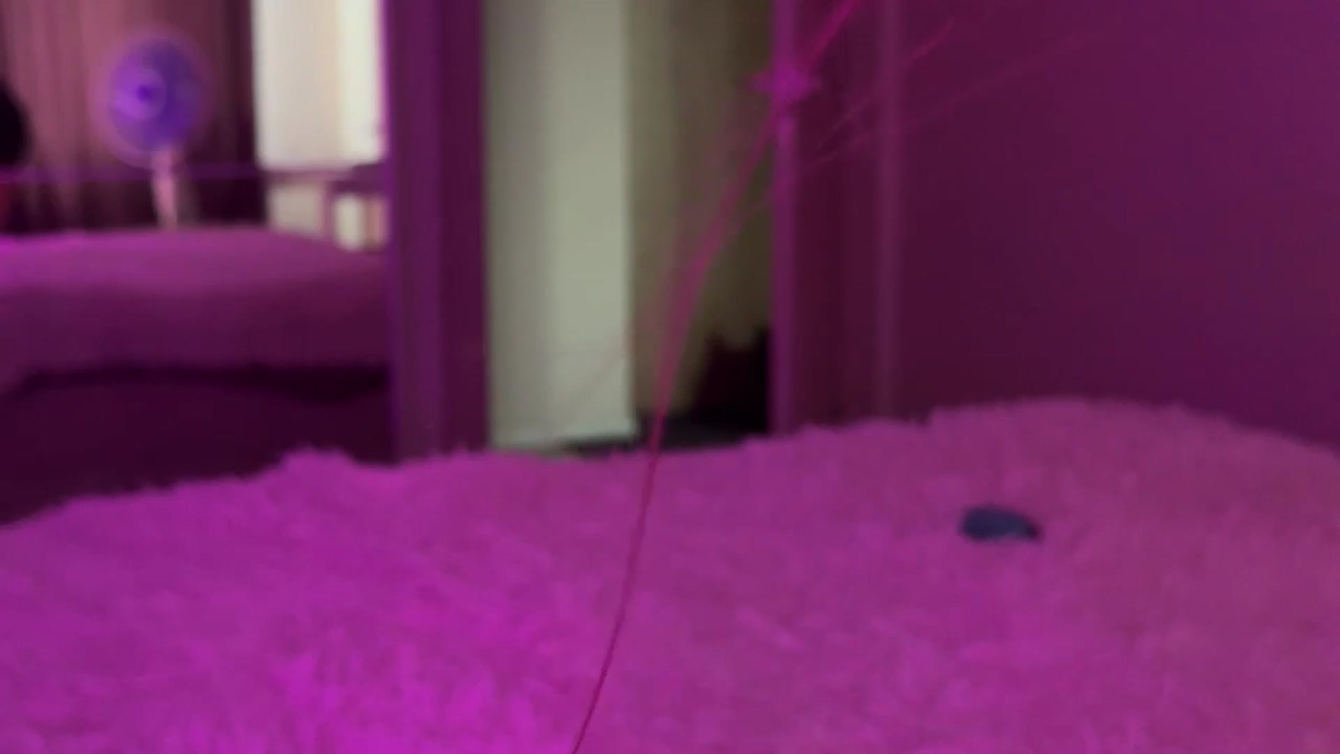 Gallery image thumbnail from ElliPoole's myfreecams stream on, 07/28/2025, 16:58 image 13 of 20