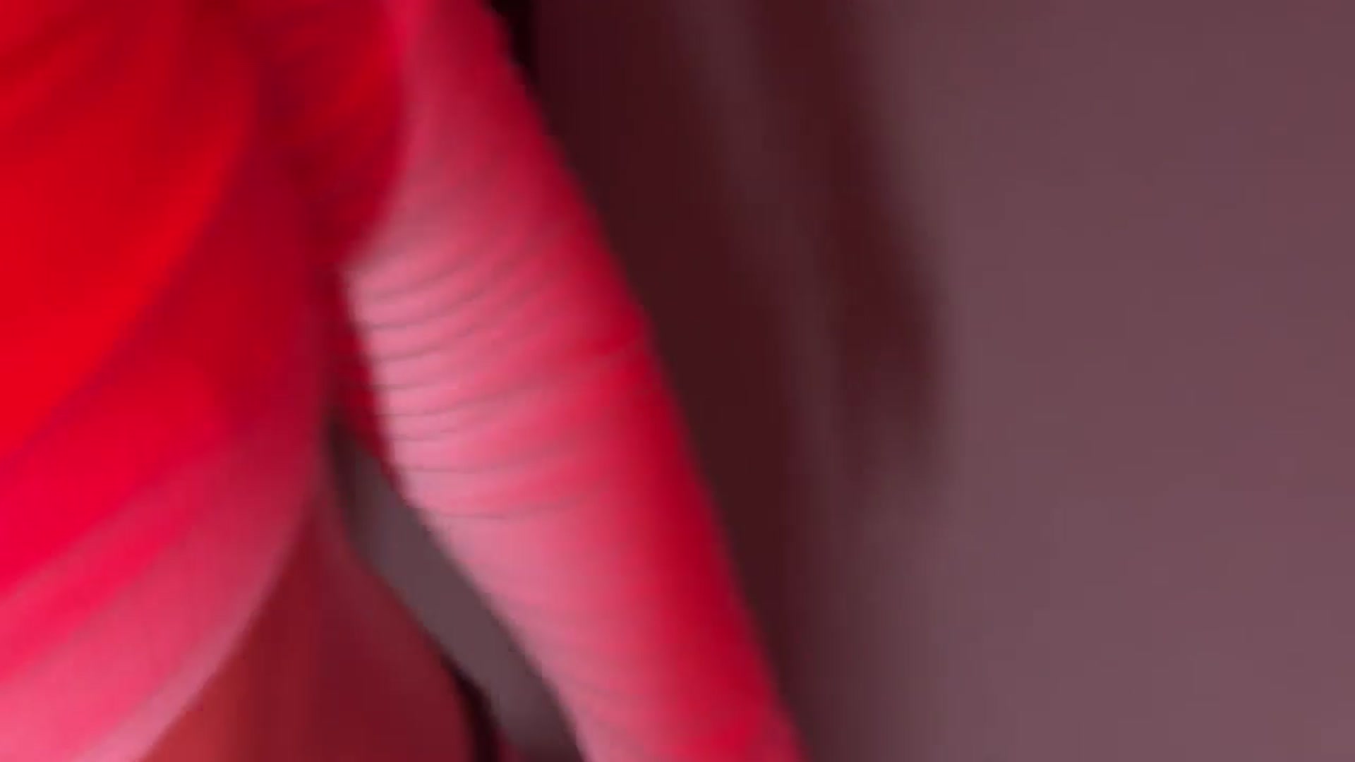 Gallery image thumbnail from ElliPoole's myfreecams stream on, 09/24/2025, 15:49 image 14 of 20