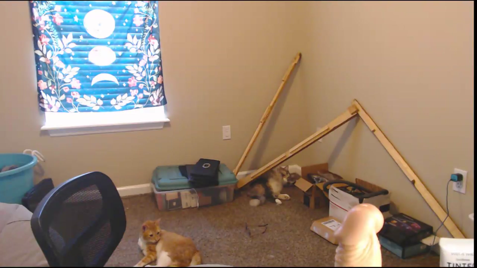 Gallery image thumbnail from ElliePiper's myfreecams stream on, 08/18/2026, 19:37 image 2 of 20