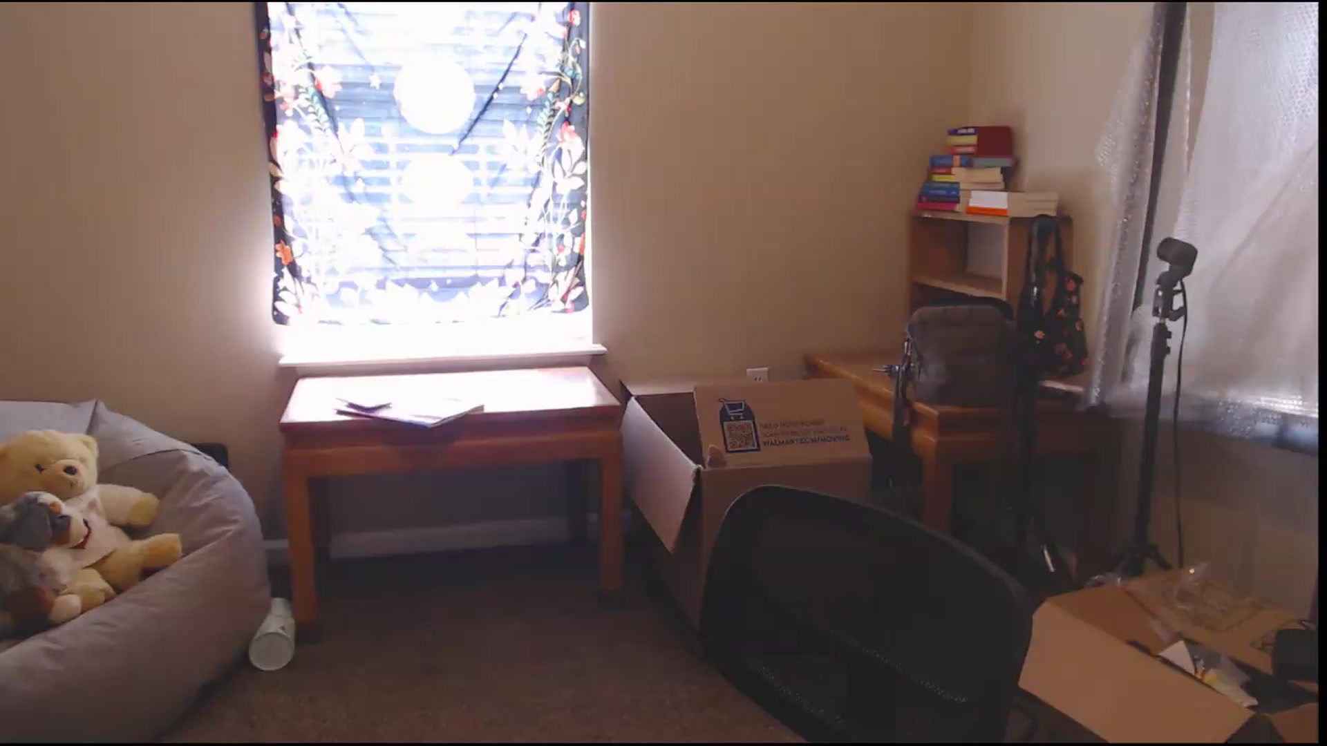 Gallery image thumbnail from ElliePiper's myfreecams stream on, 08/31/2026, 16:43 image 7 of 20