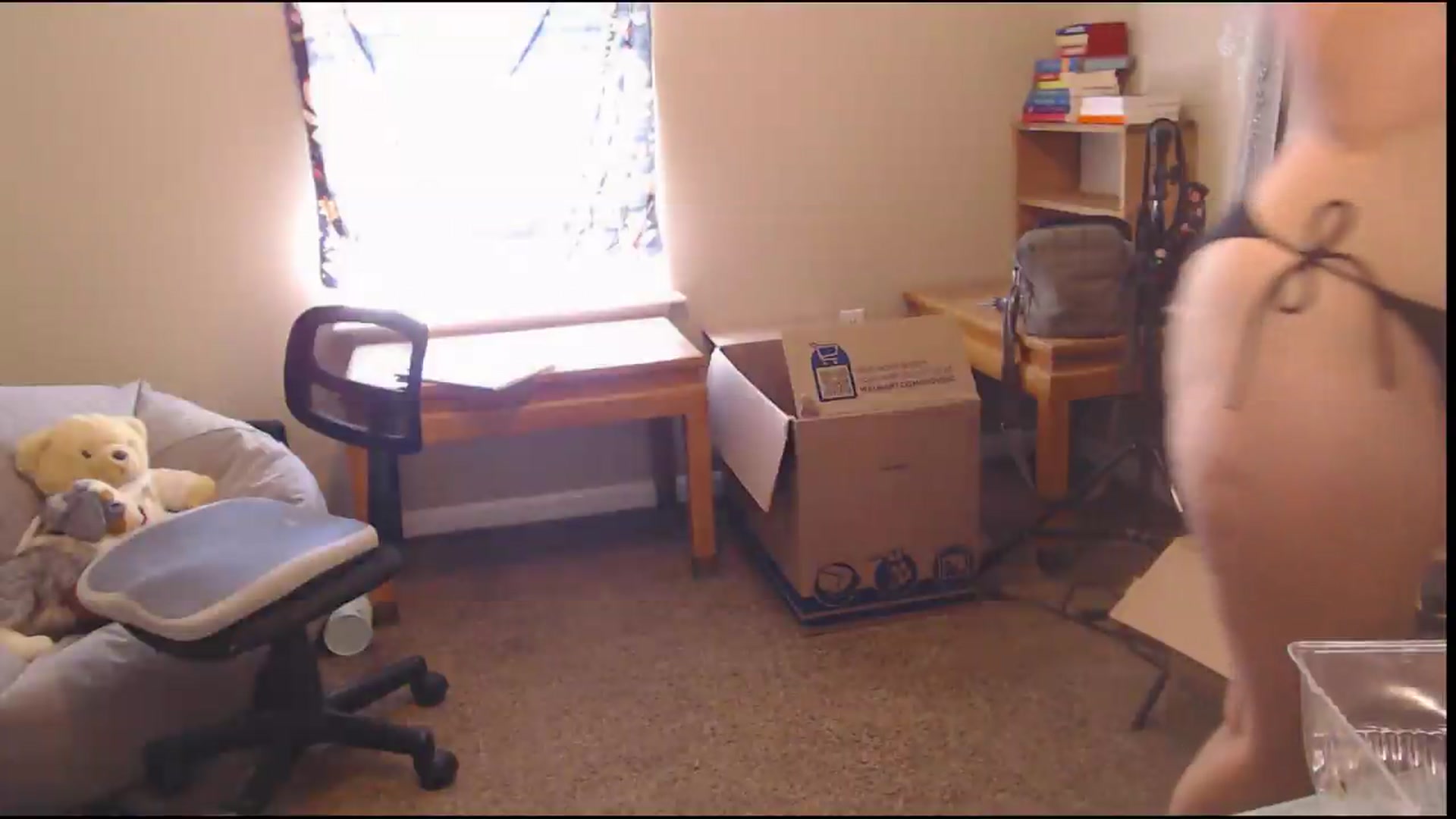 Gallery image thumbnail from ElliePiper's myfreecams stream on, 08/31/2026, 16:43 image 12 of 20
