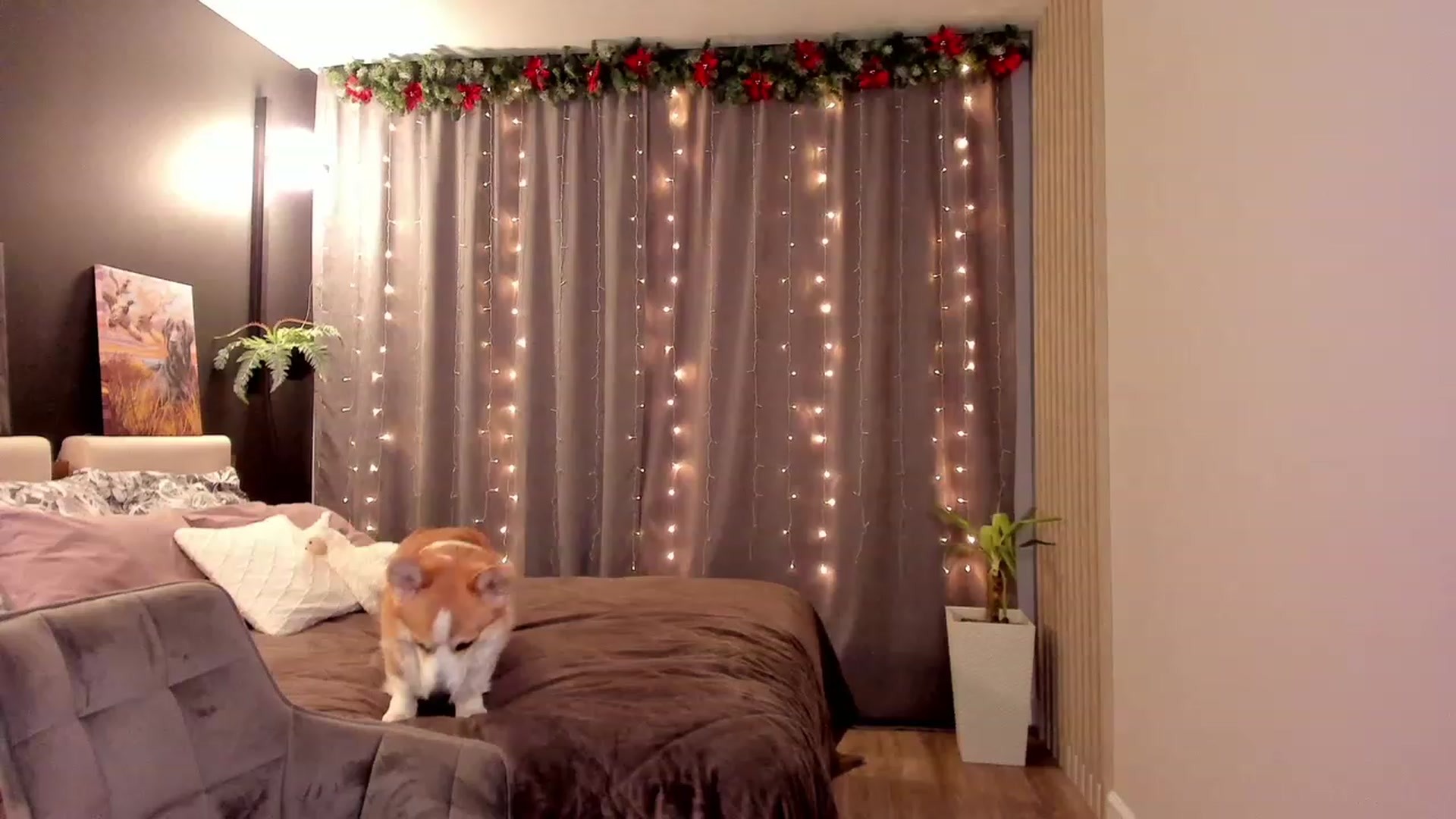 Gallery image thumbnail from Ellies_Smile's myfreecams stream on, 12/23/2022, 17:55 image 7 of 20
