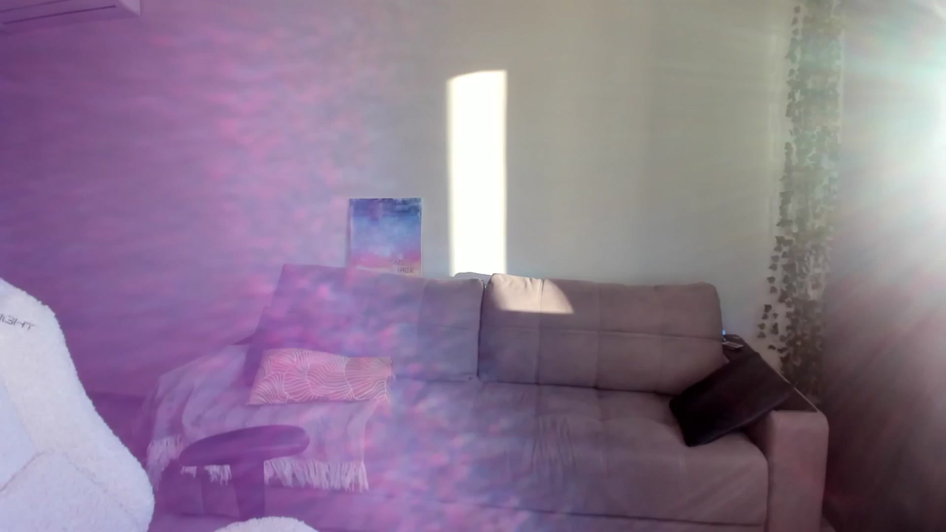 Gallery image thumbnail from Ellies_Smile's myfreecams stream on, 08/03/2024, 02:52 image 12 of 20