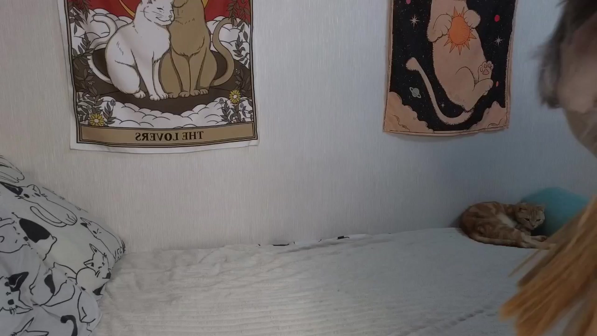 Gallery image thumbnail from ElonaGinger's myfreecams stream on, 02/19/2026, 16:54 image 5 of 20