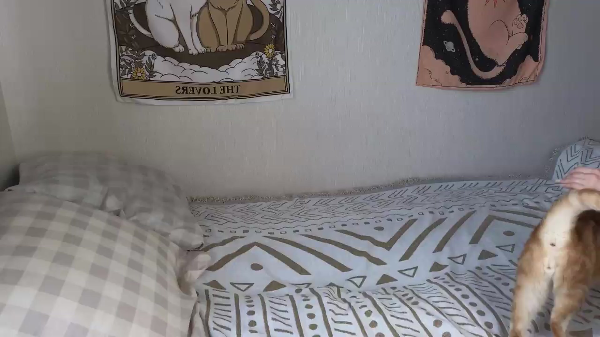 Gallery image thumbnail from ElonaGinger's myfreecams stream on, 06/24/2026, 11:51 image 4 of 20