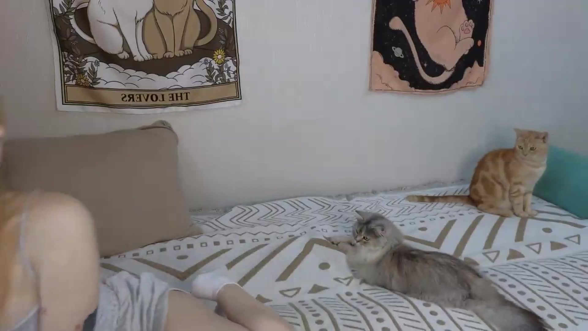 Gallery image thumbnail from ElonaGinger's myfreecams stream on, 09/09/2026, 12:50 image 4 of 20