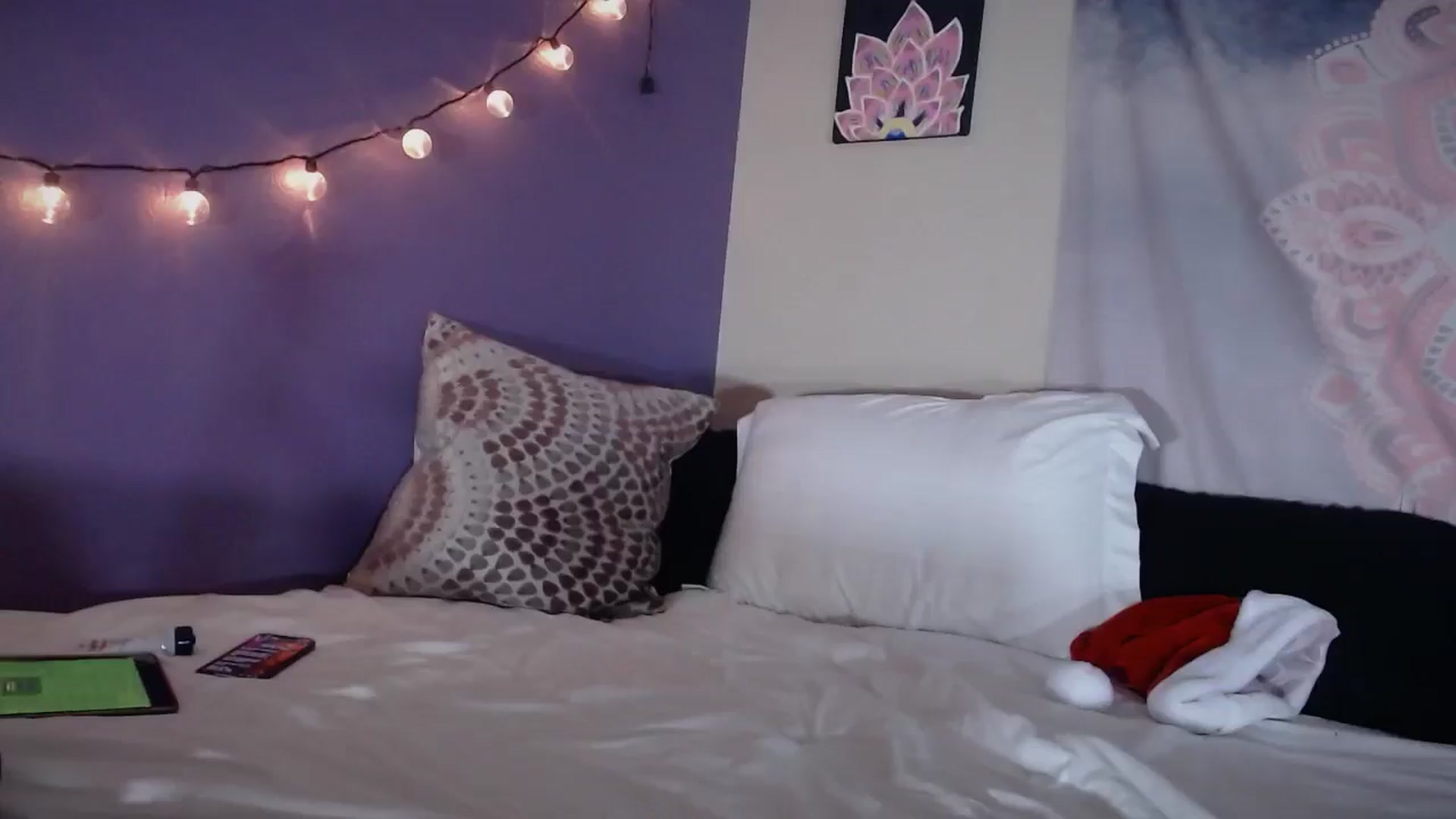 Gallery image thumbnail from ElsaLust's myfreecams stream on, 12/04/2024, 09:42 image 13 of 20