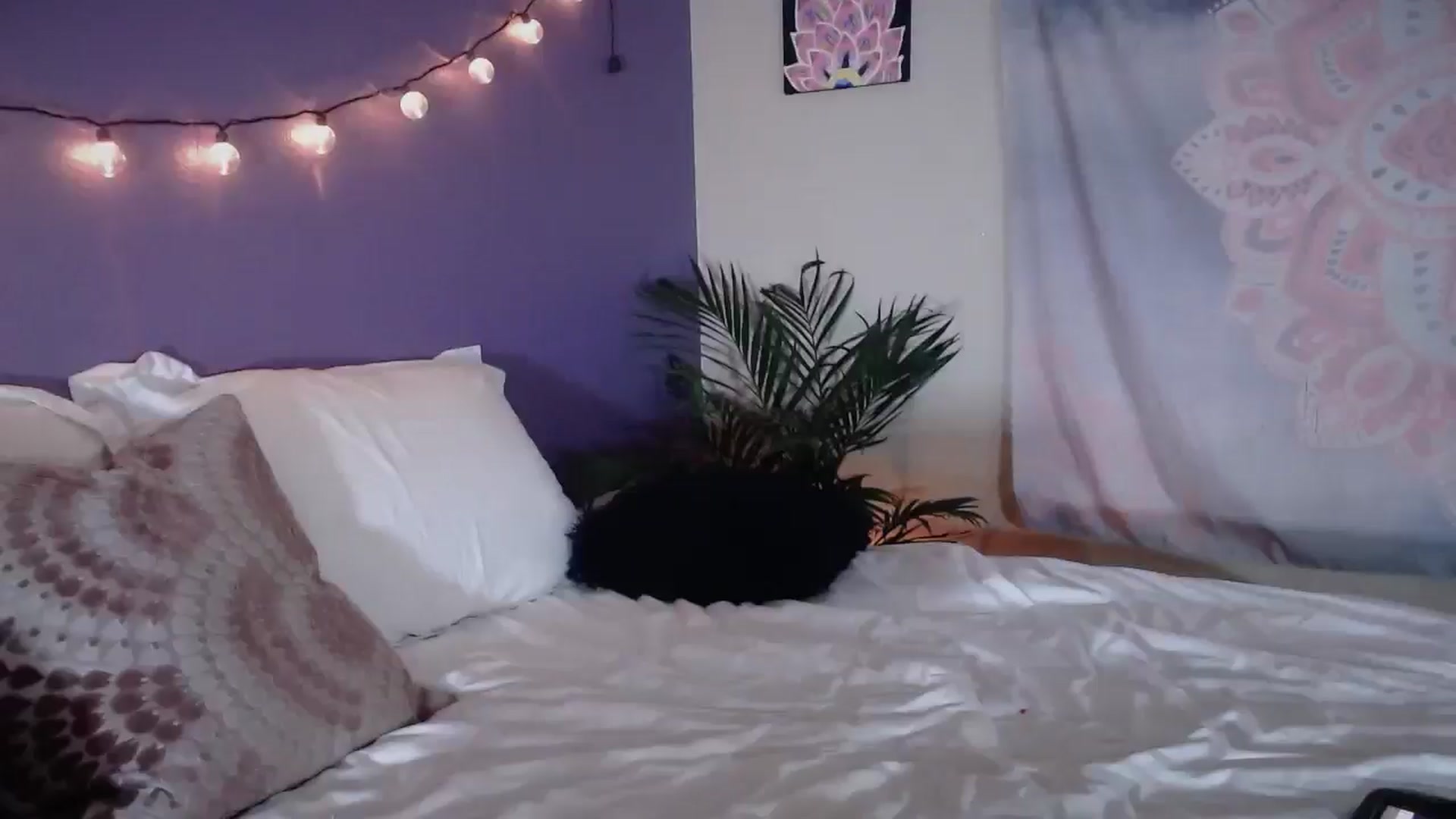 Gallery image thumbnail from ElsaLust's myfreecams stream on, 01/22/2025, 09:12 image 16 of 20