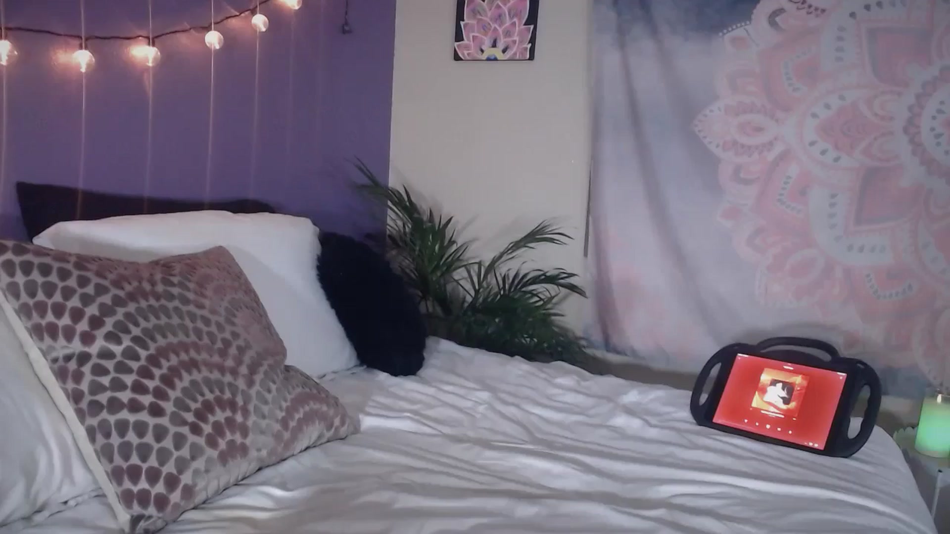 Gallery image thumbnail from ElsaLust's myfreecams stream on, 02/07/2025, 09:31 image 13 of 20