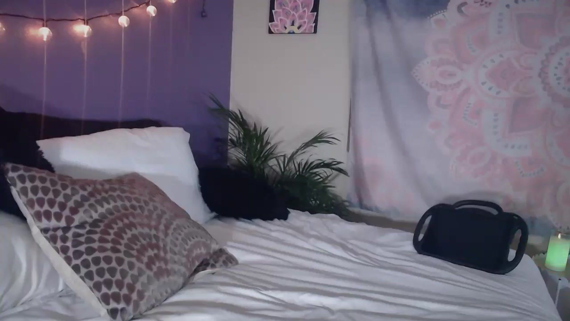 Gallery image thumbnail from ElsaLust's myfreecams stream on, 02/07/2025, 11:55 image 9 of 20