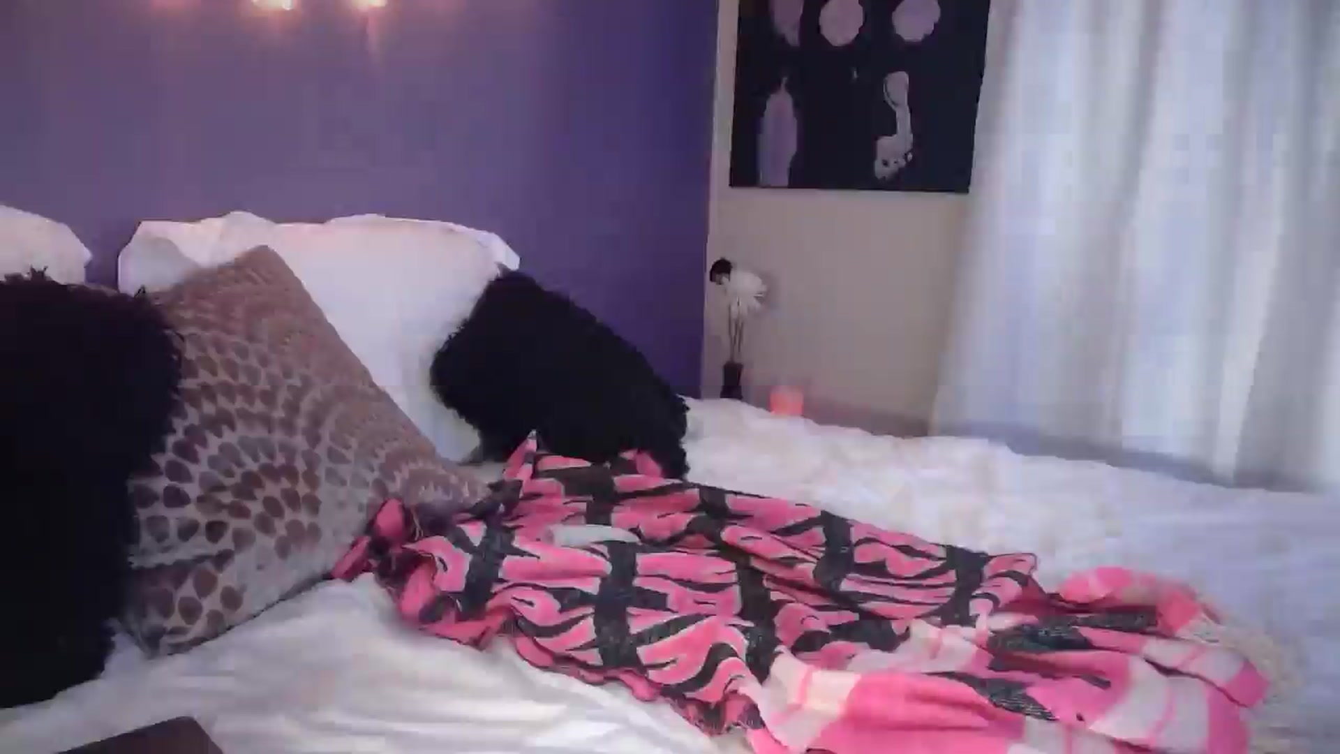 Gallery image thumbnail from ElsaLust's myfreecams stream on, 08/13/2025, 08:36 image 2 of 20