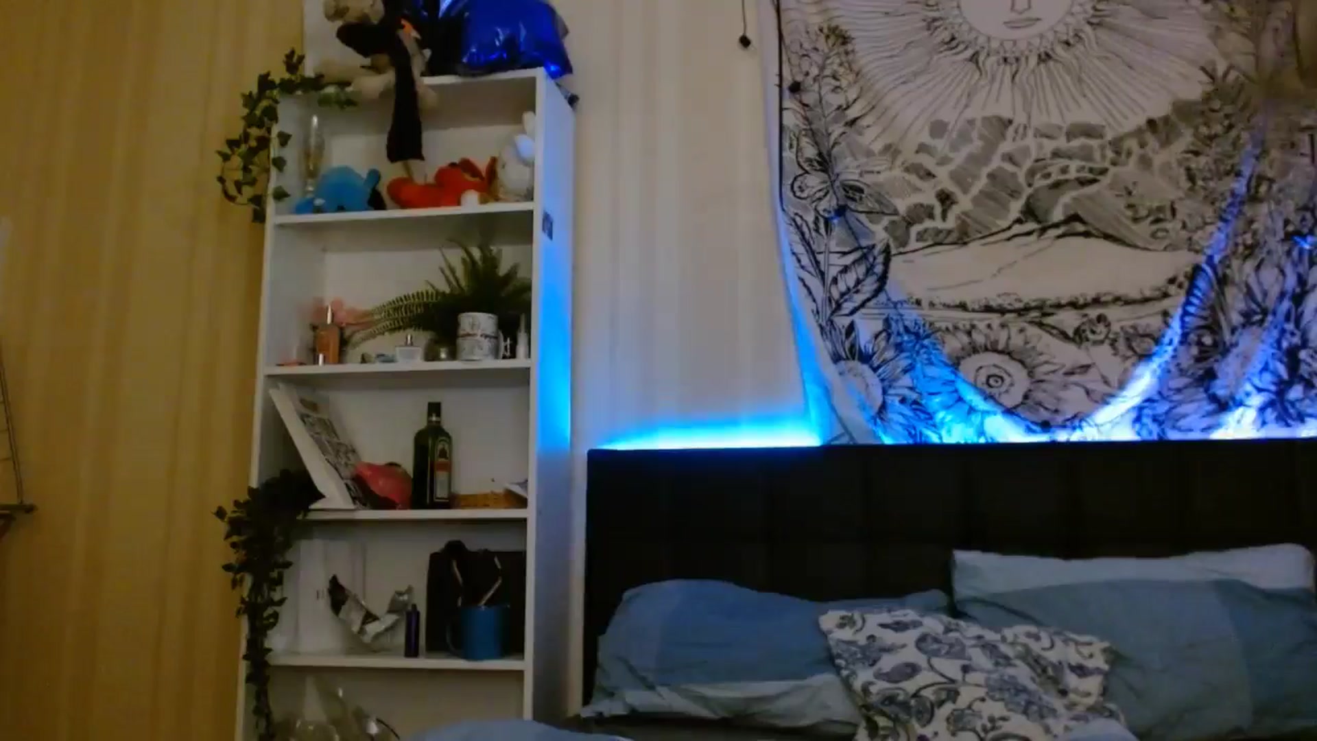 Gallery image thumbnail from ElsieF_'s myfreecams stream on, 06/21/2024, 17:58 image 19 of 20