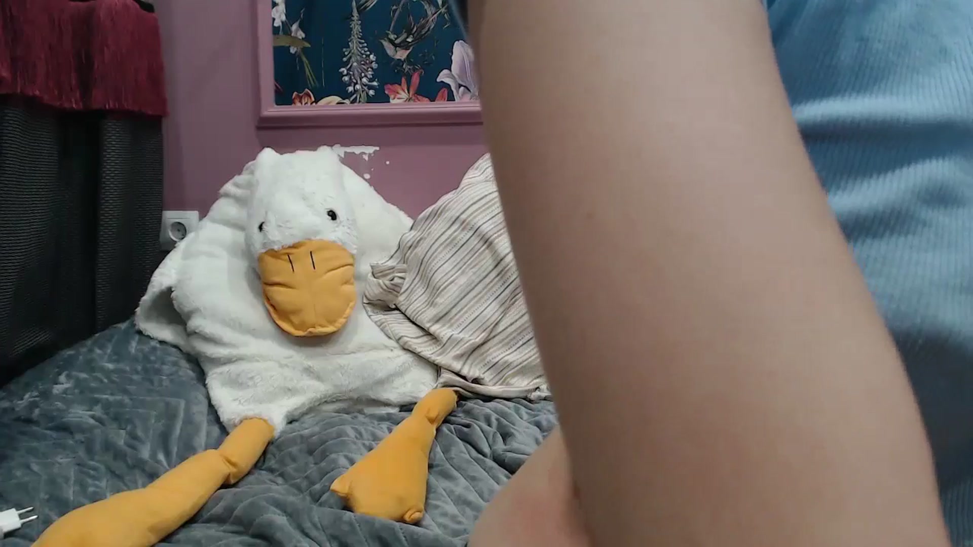 Gallery image thumbnail from ElsieF_'s myfreecams stream on, 05/30/2025, 18:36 image 15 of 20