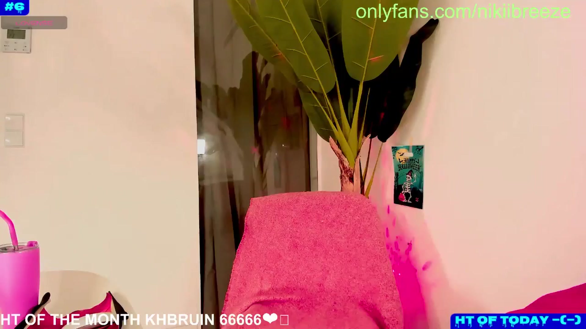 Gallery image thumbnail from Elvira_Biatch's myfreecams stream on, 10/28/2024, 01:05 image 1 of 20