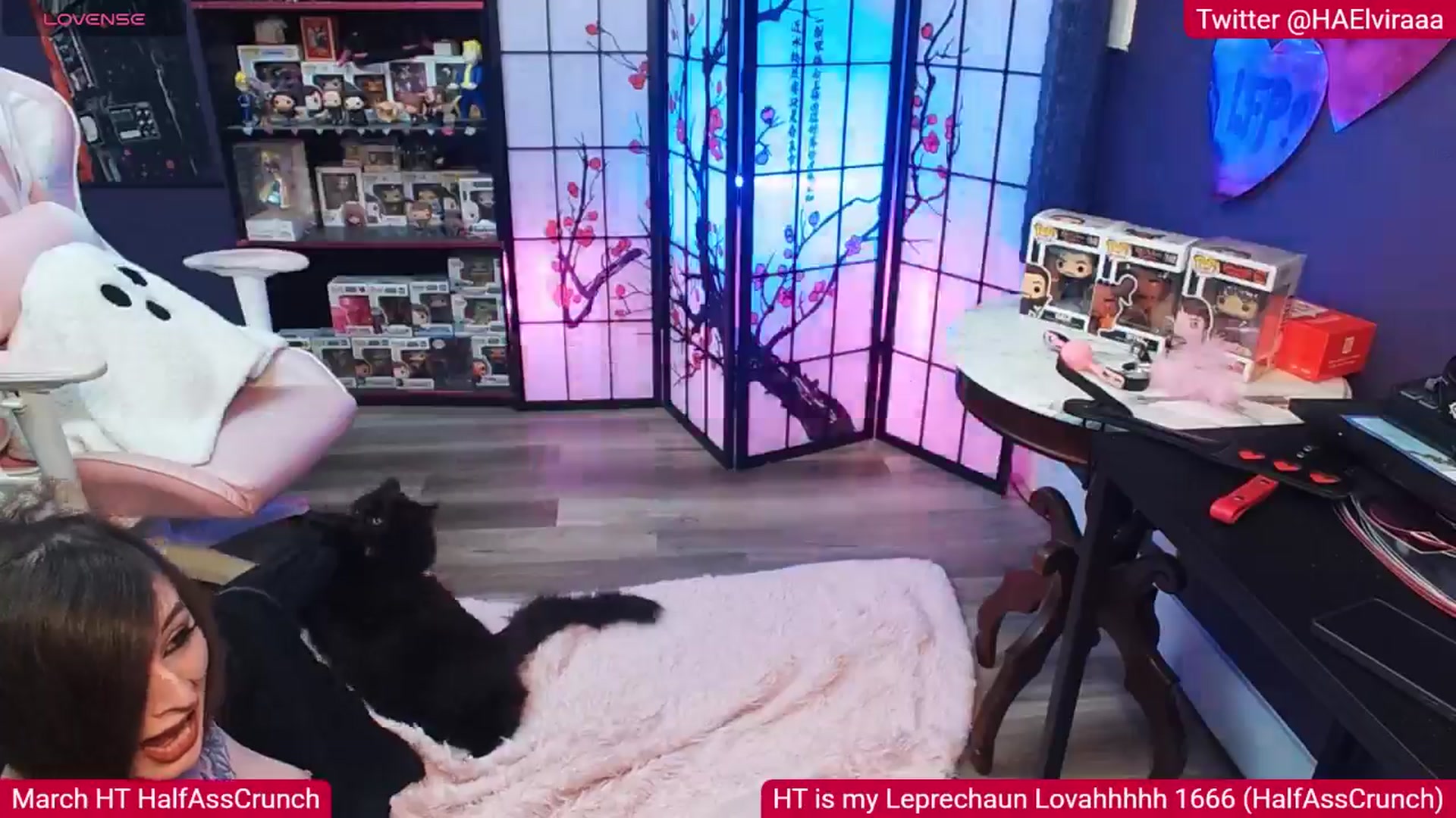 Gallery image thumbnail from Elviraaa's myfreecams stream on, 03/22/2026, 09:37 image 14 of 20