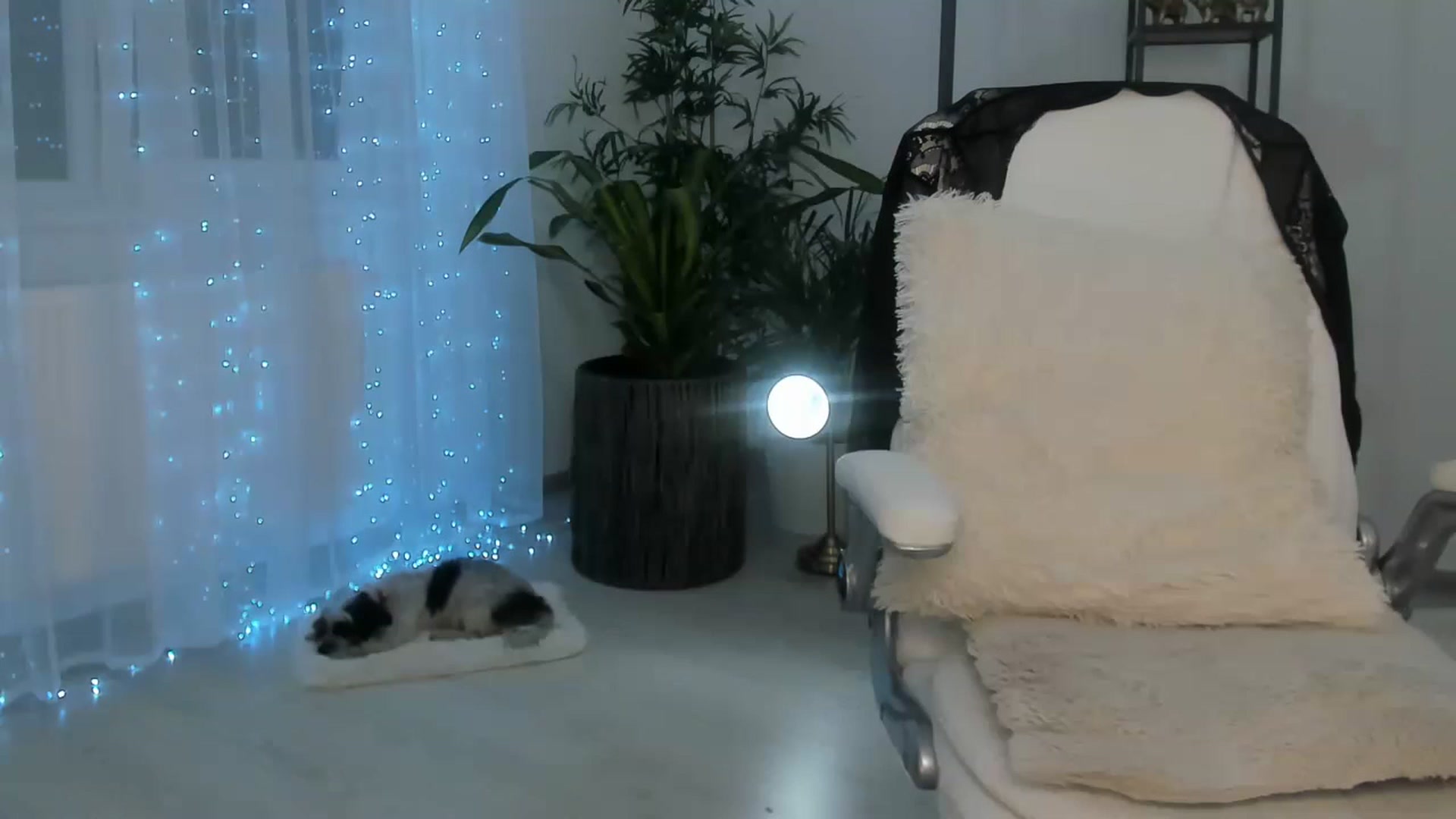 Gallery image thumbnail from ElyUrFutureEx's myfreecams stream on, 06/26/2023, 24:03 image 14 of 20