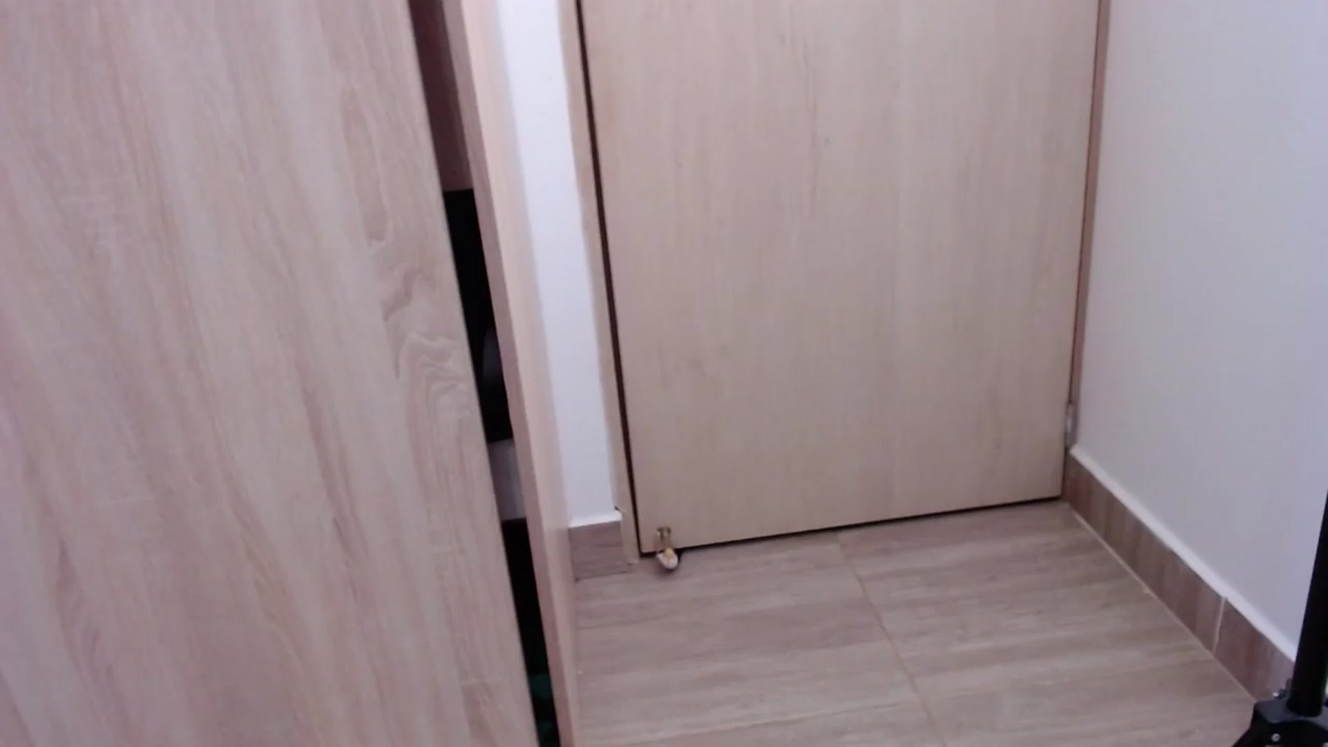 Gallery image thumbnail from Elzee's myfreecams stream on, 11/15/2022, 06:47 image 1 of 20