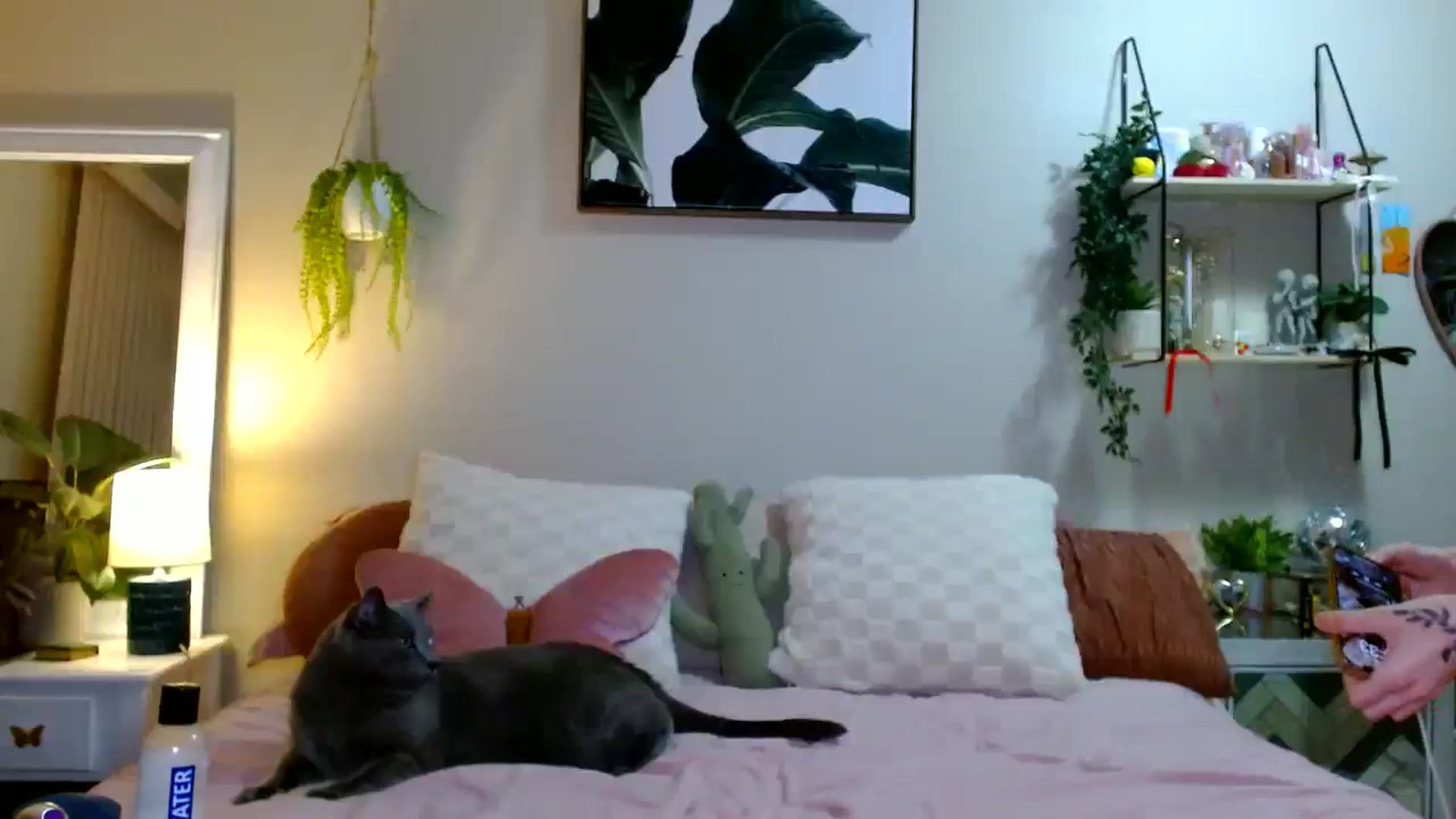 Gallery image thumbnail from Em_babyxx's myfreecams stream on, 03/11/2026, 09:02 image 7 of 20