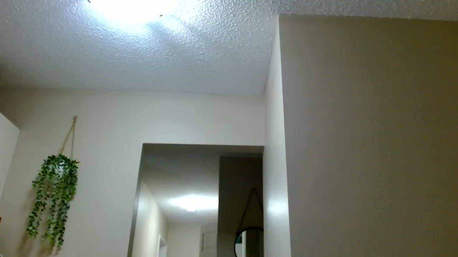 Gallery image thumbnail from Em_babyxx's myfreecams stream on, 03/16/2026, 06:45 image 7 of 20