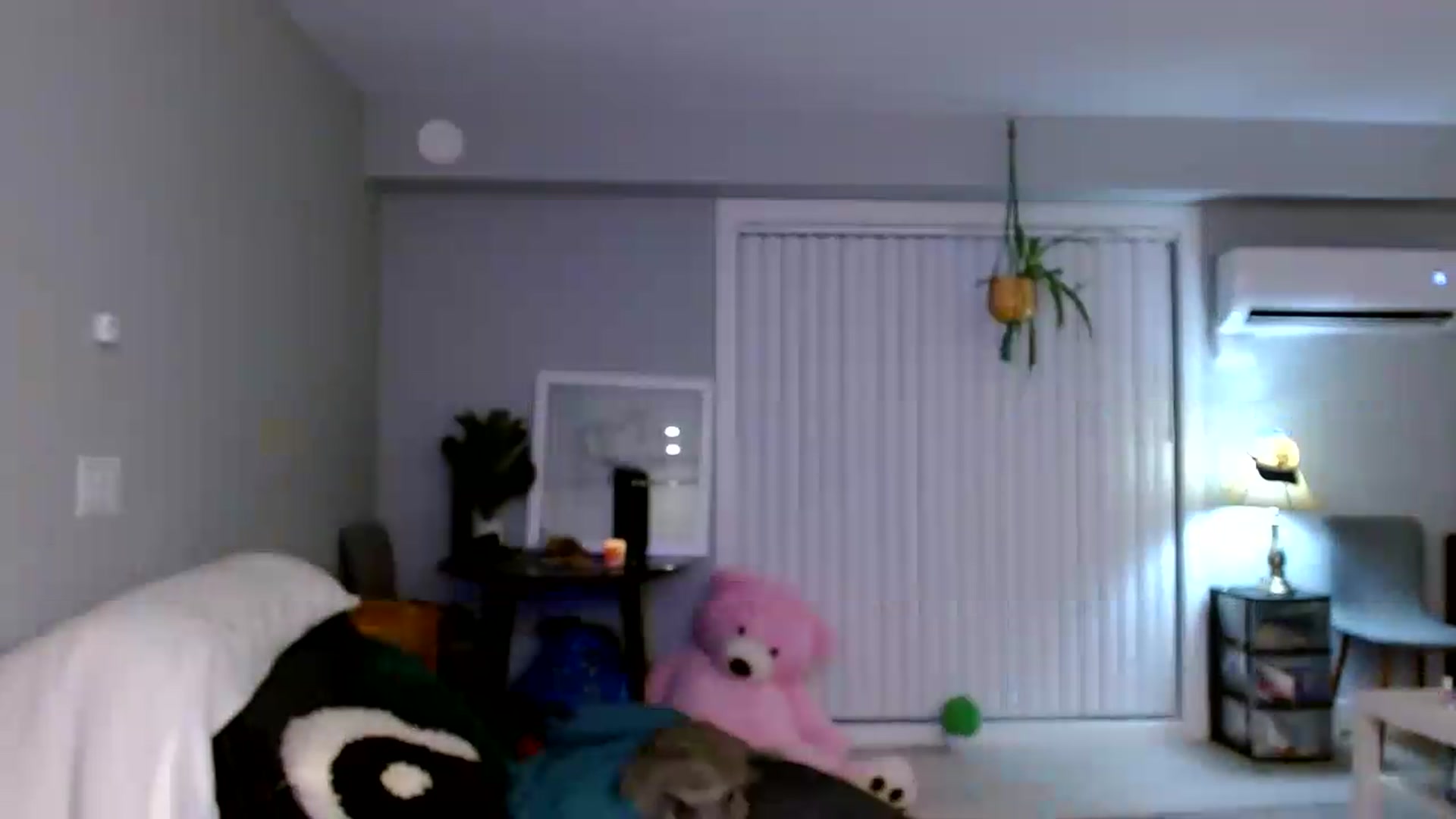 Gallery image thumbnail from Em_babyxx's myfreecams stream on, 09/13/2026, 12:25 image 13 of 20