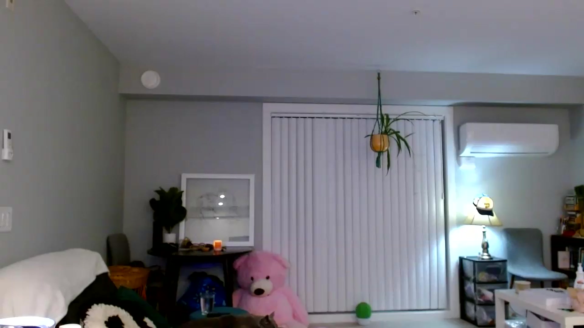 Gallery image thumbnail from Em_babyxx's myfreecams stream on, 09/14/2026, 08:58 image 13 of 20