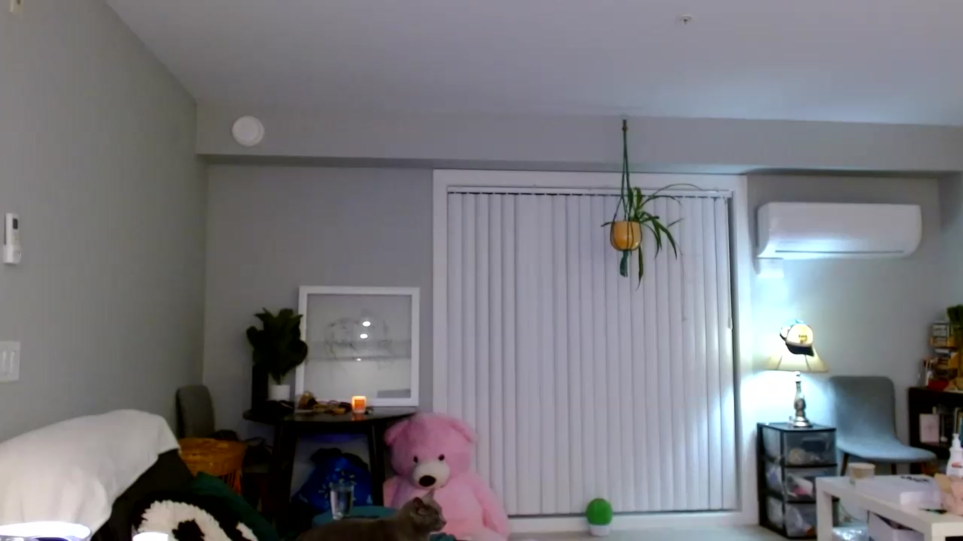 Gallery image thumbnail from Em_babyxx's myfreecams stream on, 09/14/2026, 08:58 image 1 of 20