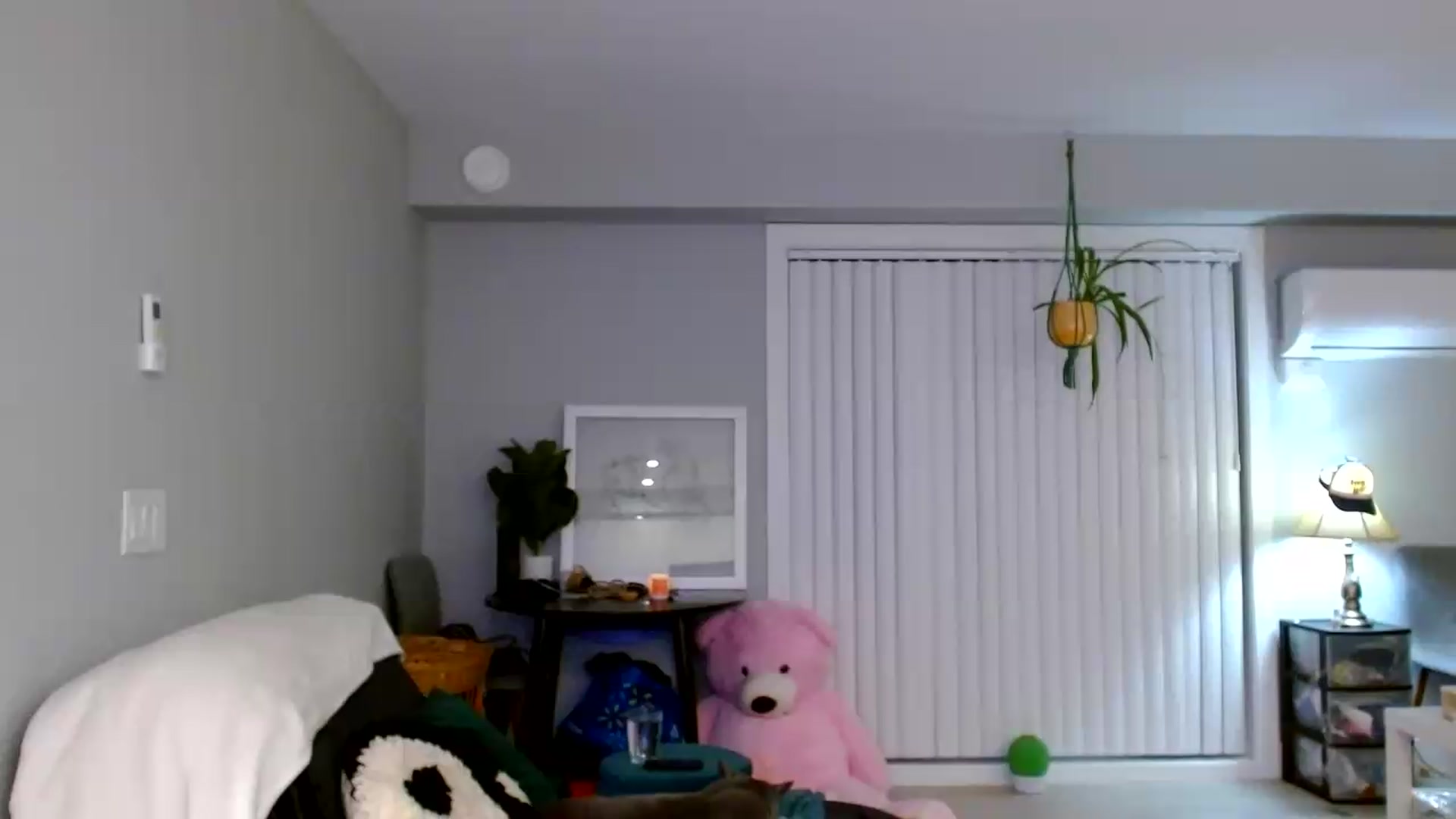 Gallery image thumbnail from Em_babyxx's myfreecams stream on, 09/14/2026, 11:45 image 5 of 20
