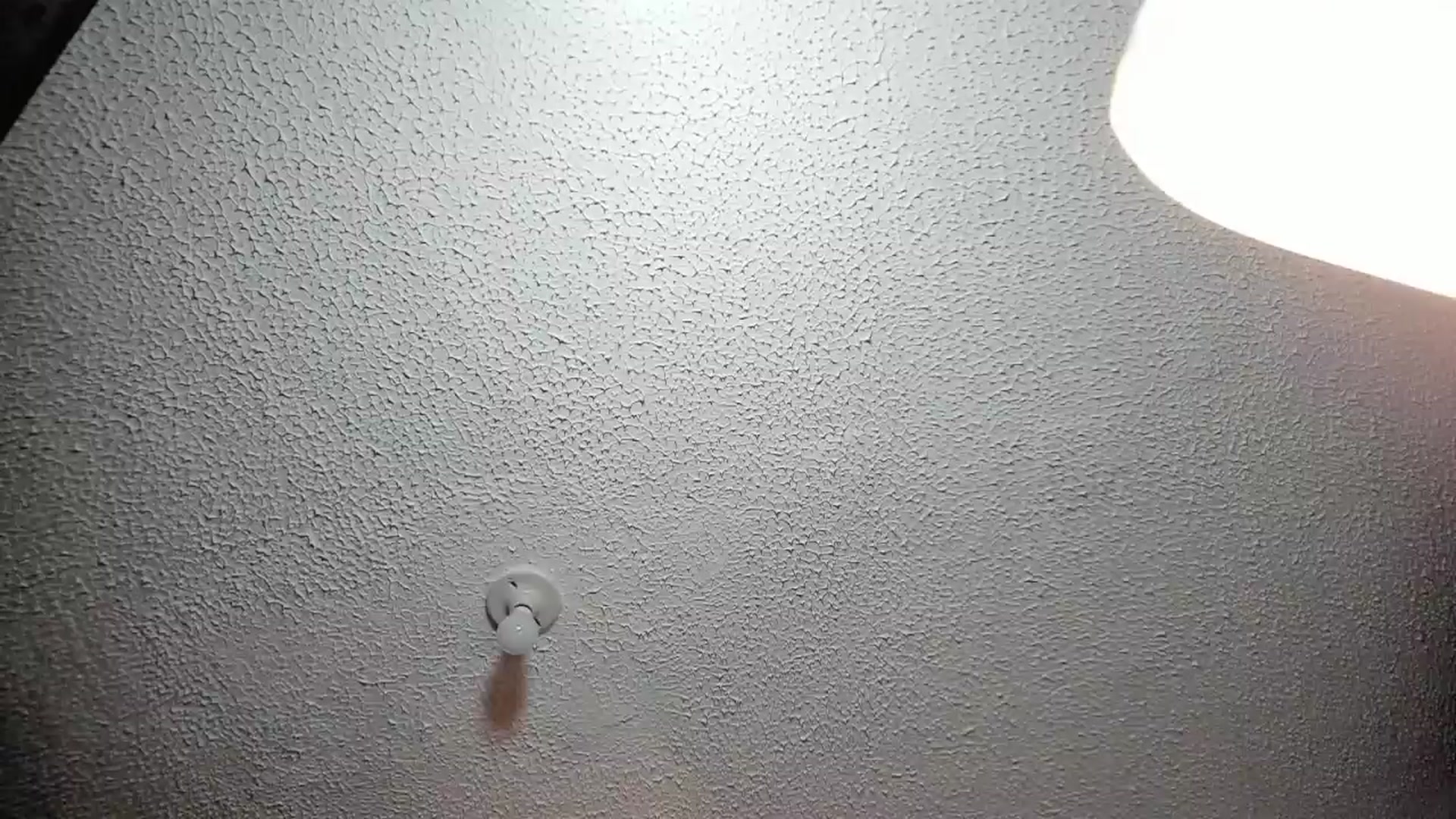 Gallery image thumbnail from Ema_smith's myfreecams stream on, 12/30/2025, 09:05 image 13 of 20