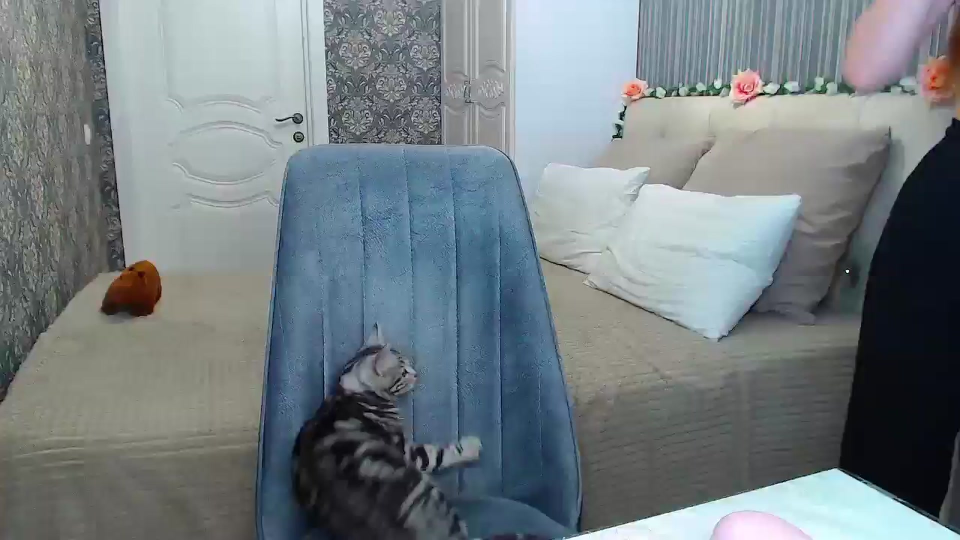Gallery image thumbnail from EmeraldLilyyy's myfreecams stream on, 11/27/2024, 15:44 image 5 of 20