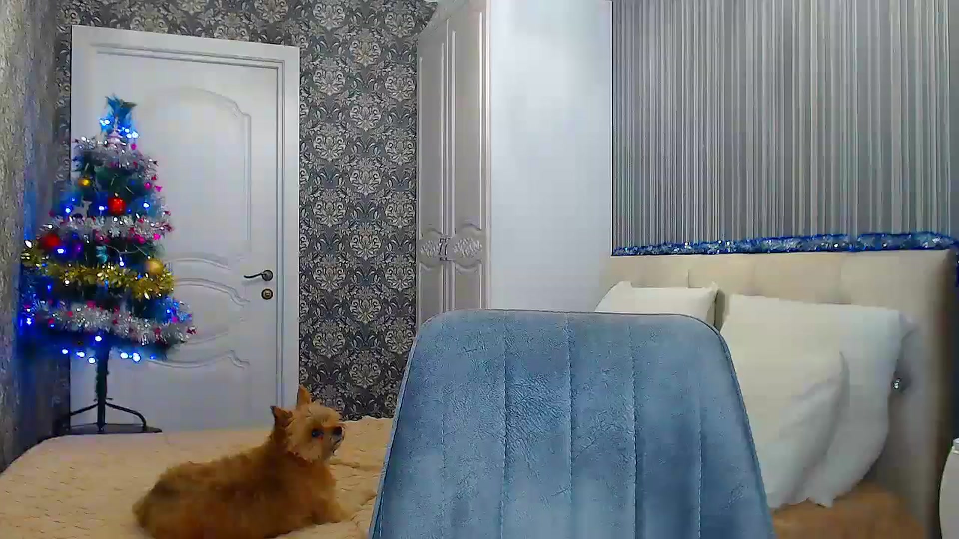 Gallery image thumbnail from EmeraldLilyyy's myfreecams stream on, 12/26/2024, 17:38 image 14 of 20