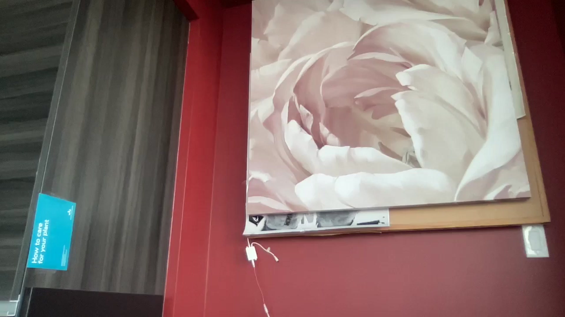 Gallery image thumbnail from EmiliaBrooks's myfreecams stream on, 05/30/2024, 01:02 image 13 of 20