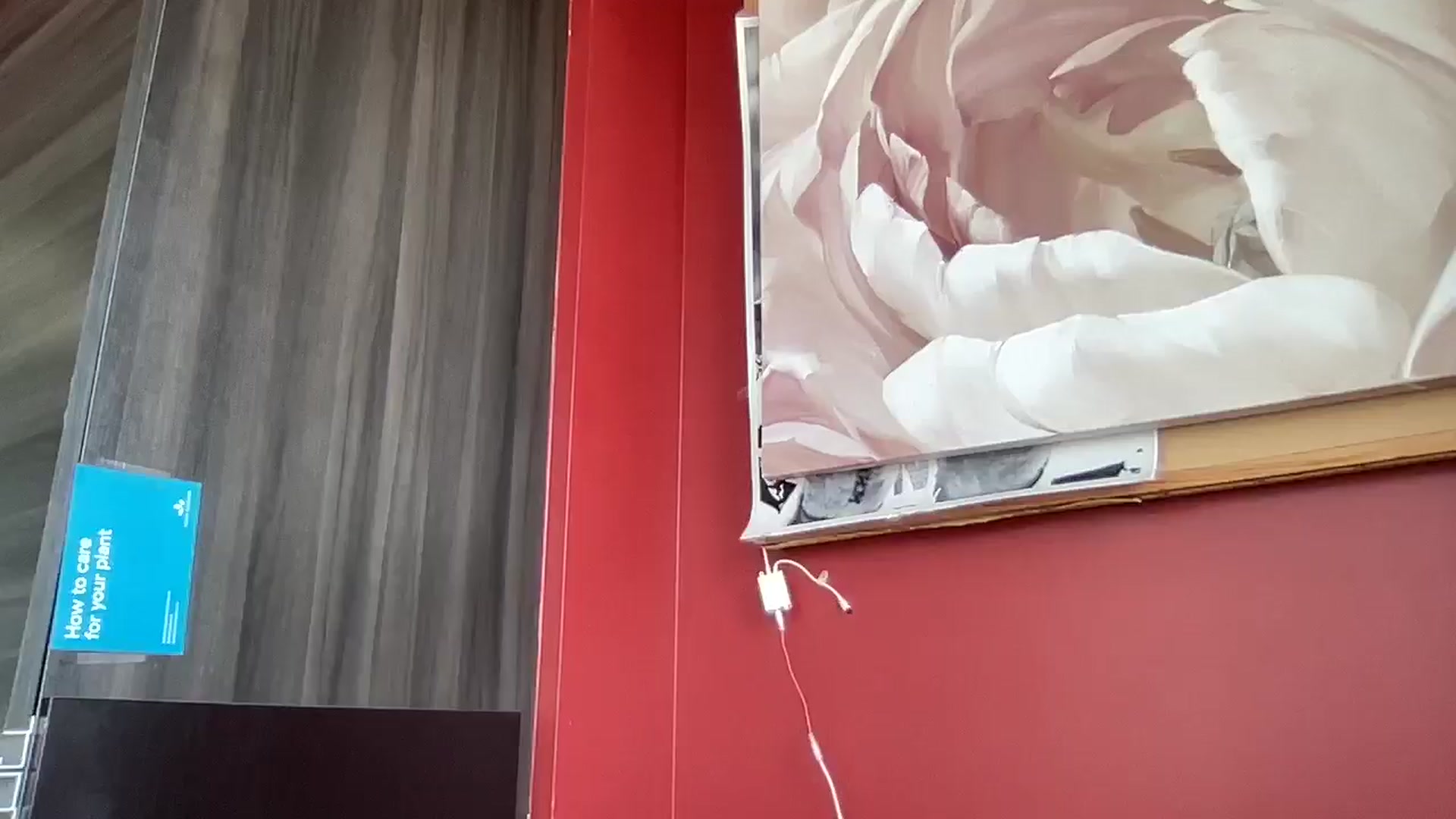 Gallery image thumbnail from EmiliaBrooks's myfreecams stream on, 07/24/2024, 21:33 image 19 of 20